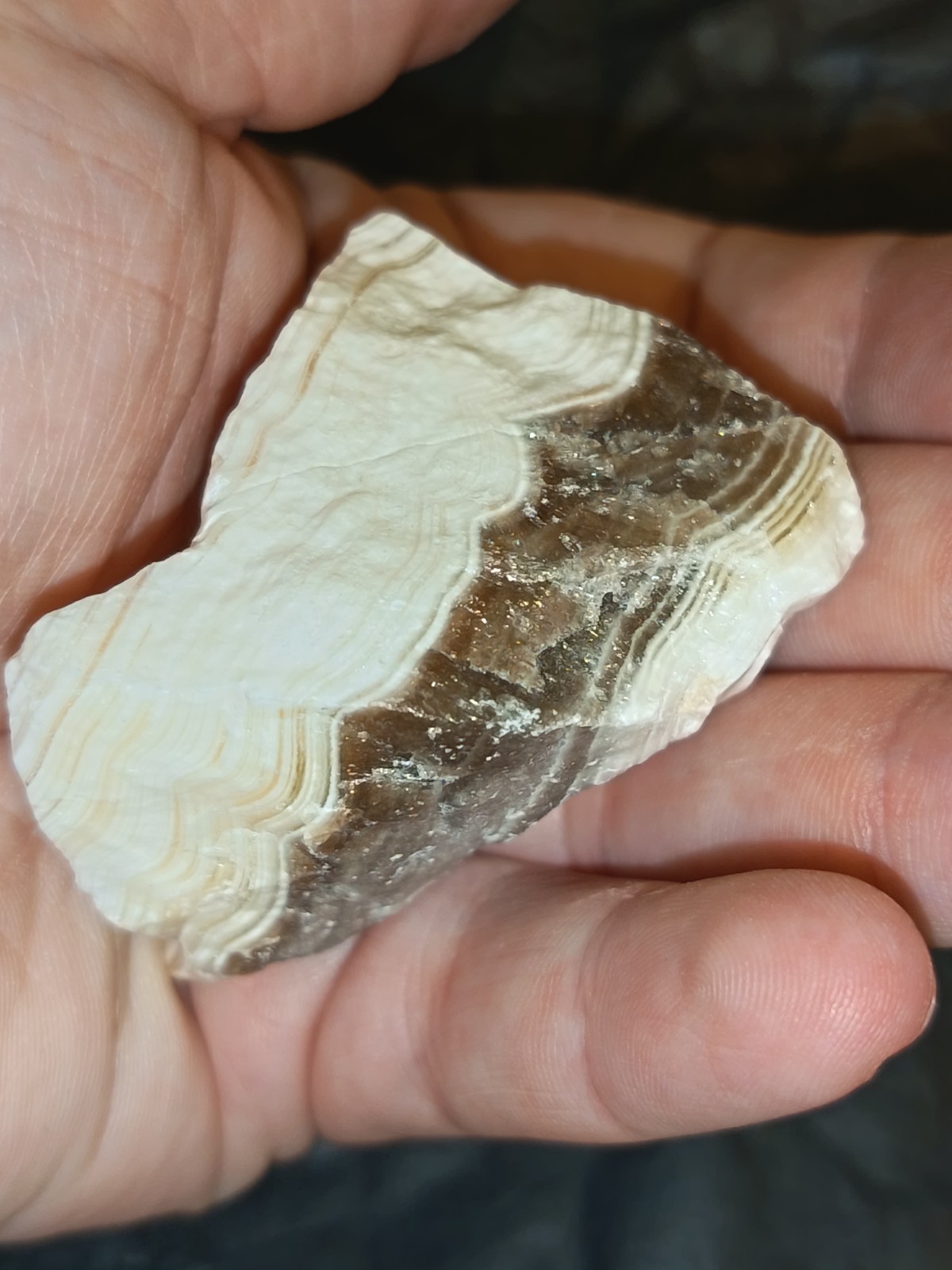 Medium Raw Zebra Jasper Crystal Piece 50-100g