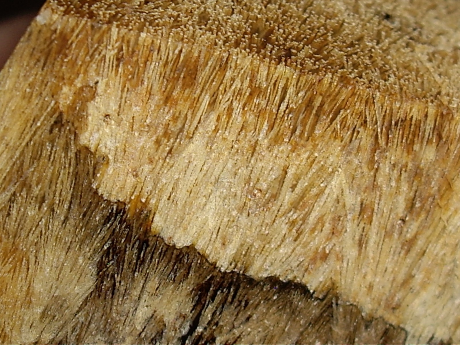 Fantastic Sagenite Agate Polished Freeform w/ Unknown Fibrous Inclusions 144.6g
