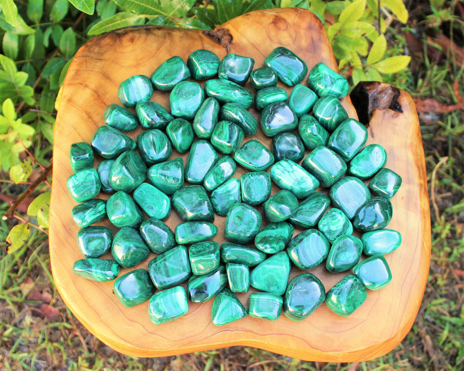Bulk 1/4 lb Malachite Tumbled Stone Crystal Healing Gemstone (1/4 Pound, 4 oz)