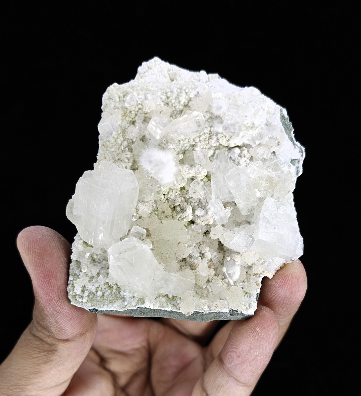 Rare Natural Okenite, Gyrolite and Apophyllite on Base Minerals Specimen #S391