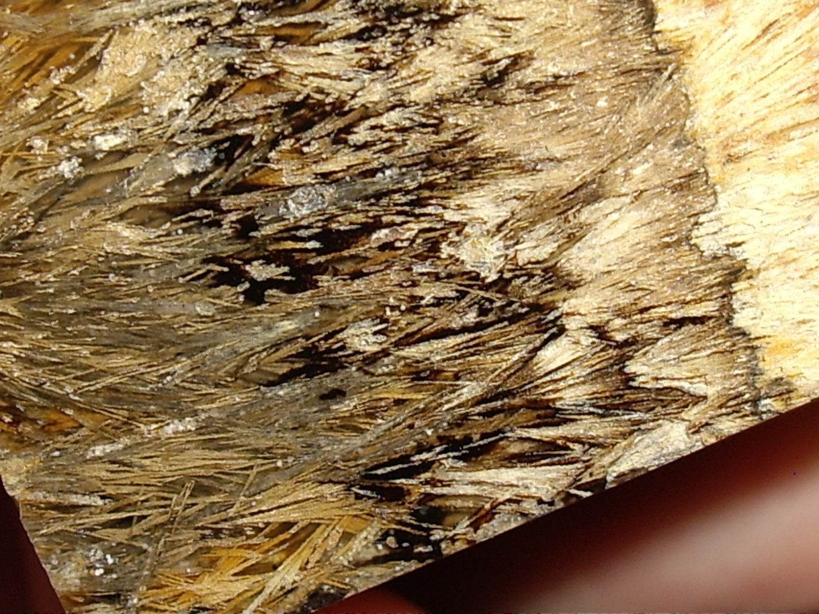 Fantastic Sagenite Agate Polished Freeform w/ Unknown Fibrous Inclusions 144.6g