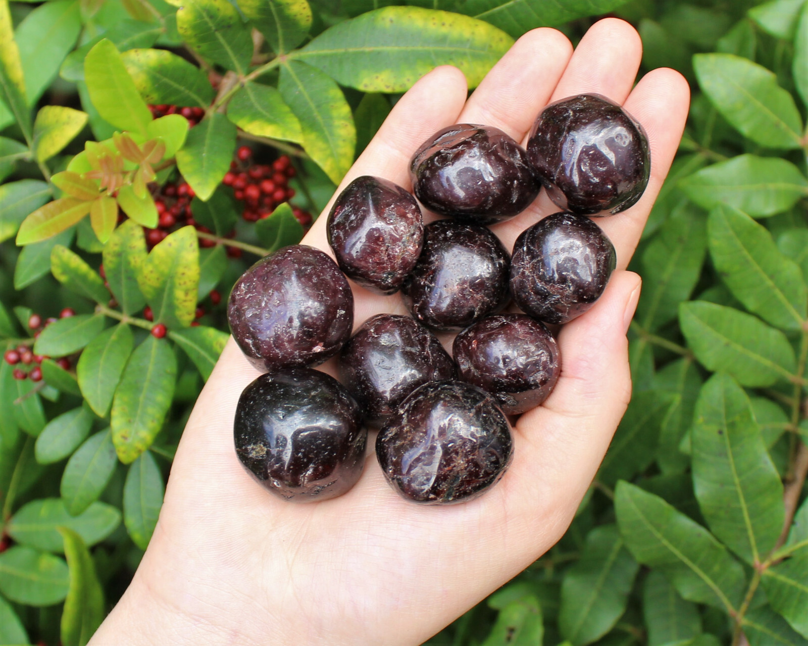 5 Garnet Tumbled Stones: Medium 0.75 – 1″ (Crystal Healing Reiki Chakra)