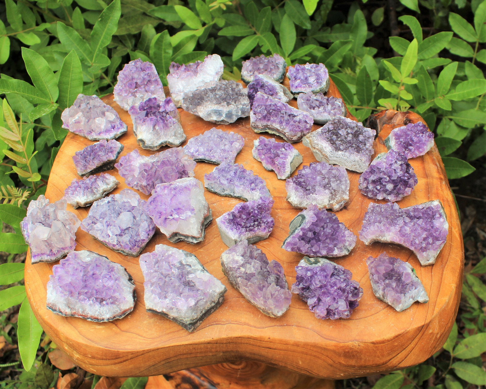 Wholesale Bulk Lot: 5 lb Amethyst Cluster Crystal Geode Small Specimens