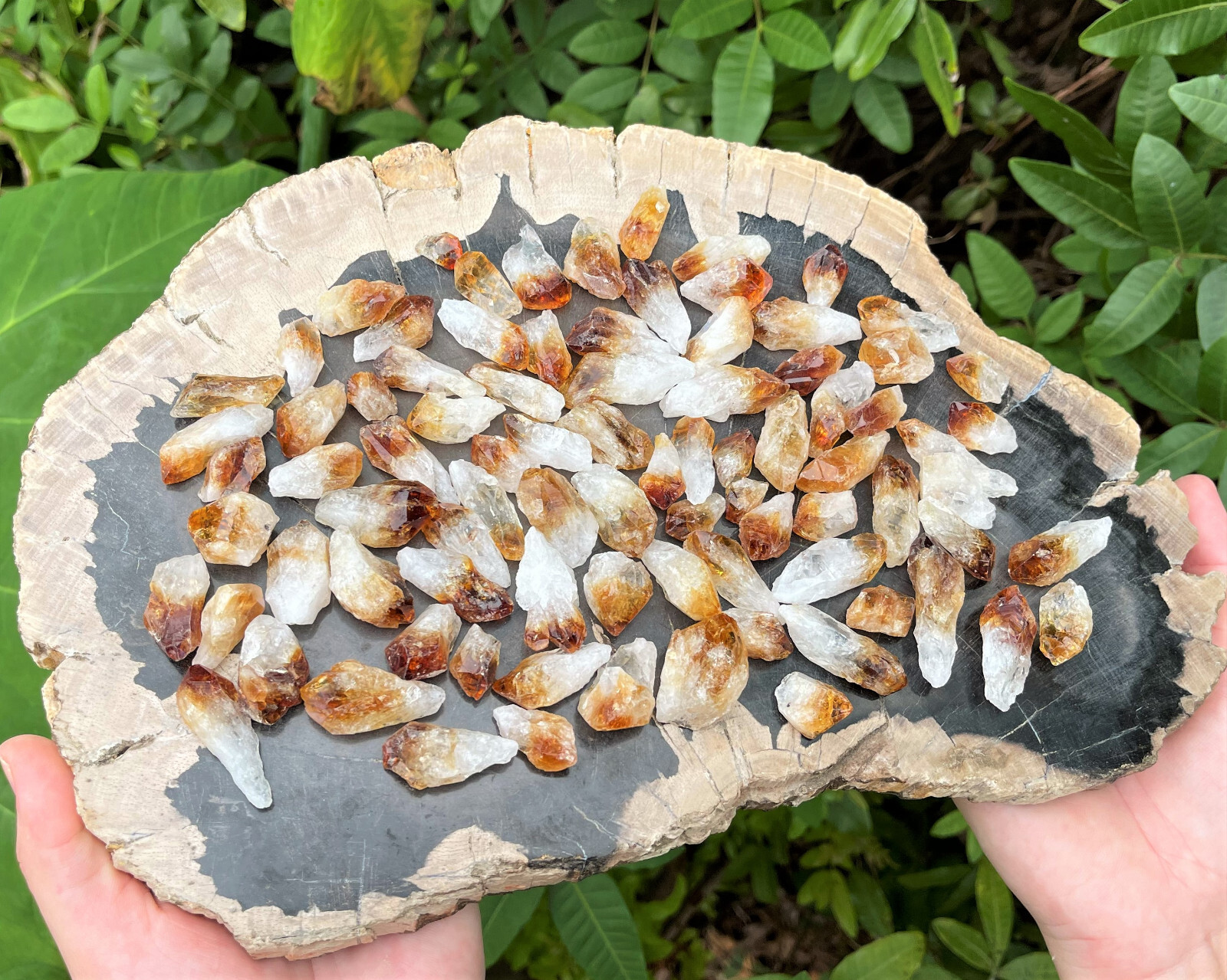 1000 Carat Lot of Mixed Natural Crystal Points: Amethyst, Citrine, Clear Quartz