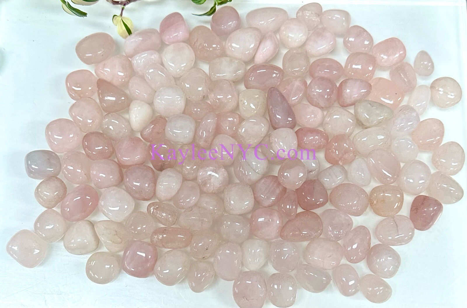 Wholesale Lot 2 Lbs Natural Rose Quartz Tumble Healing Energy