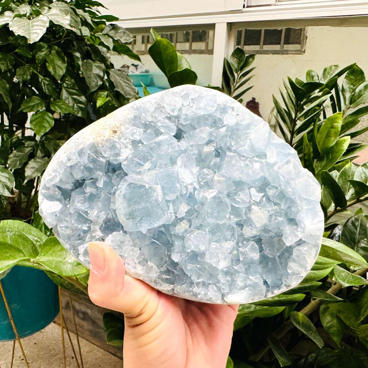 8.18LB Natural Blue Celestite heart Geode QuartzCrystal Mineral Specimen Healing