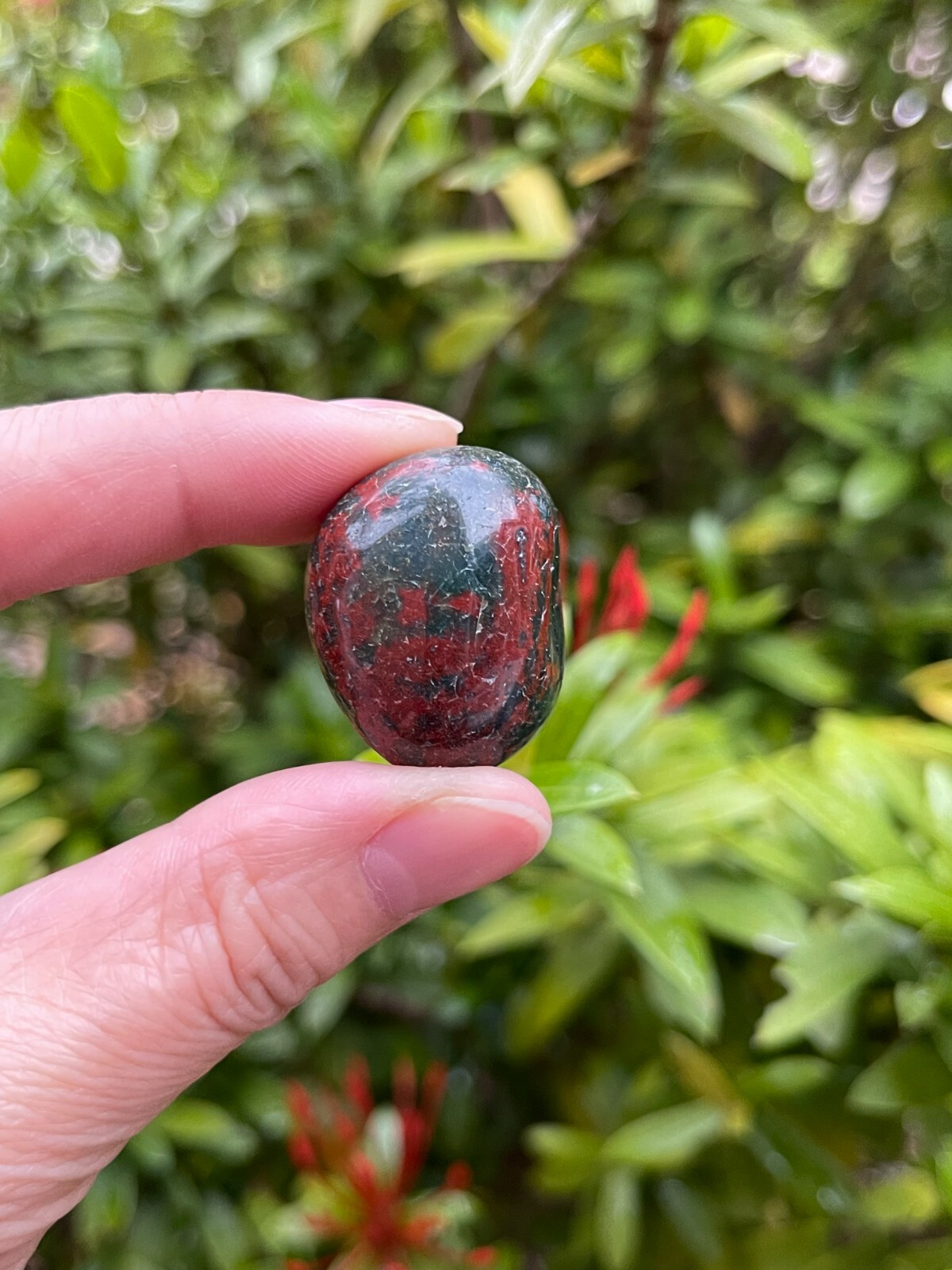 Bloodstone Tumbled Stones, 0.75-1 Inch Tumbled Bloodstone Stone, Wholesales Bulk