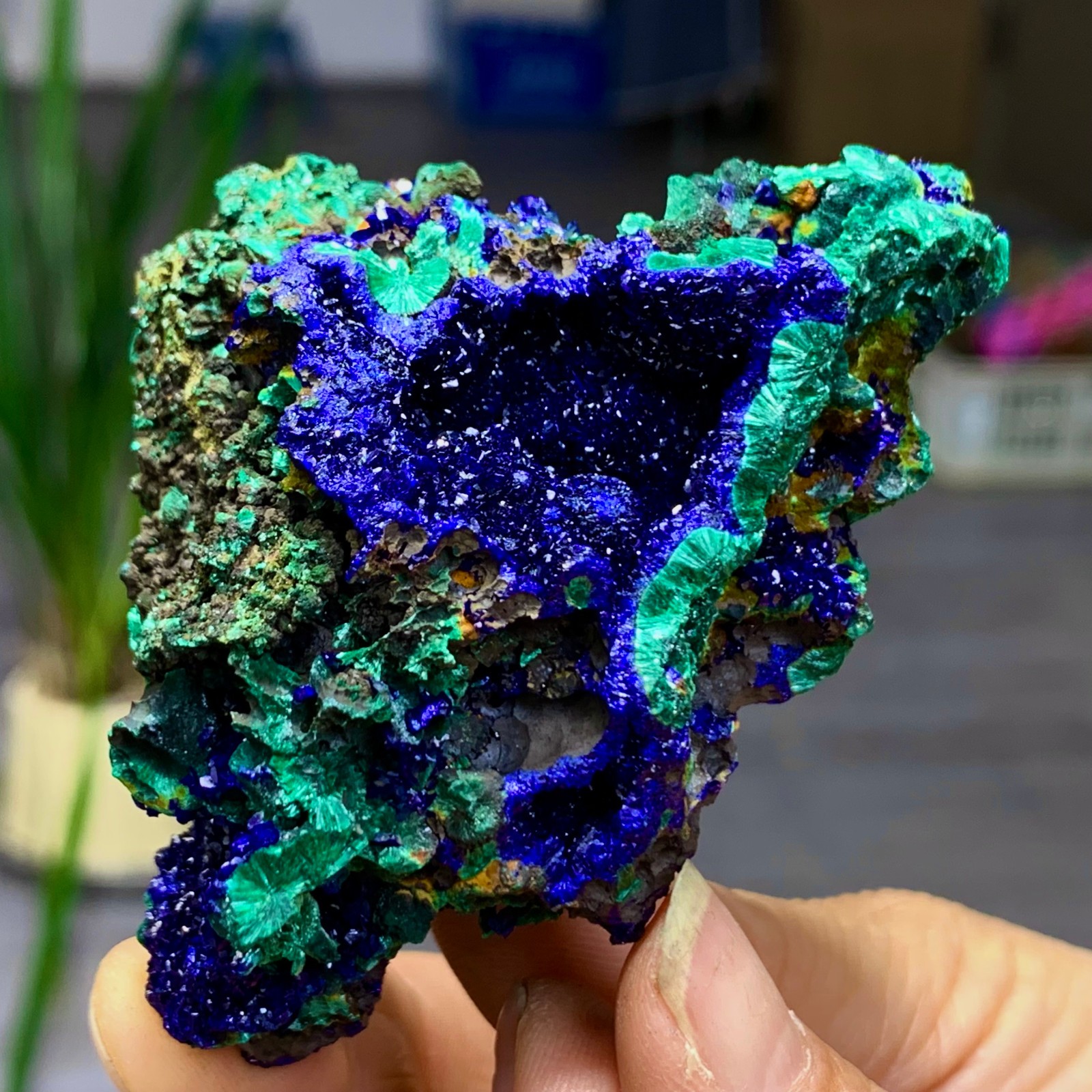 100G BEST Natural Azurite/Malachite crystal minerals specimens D503