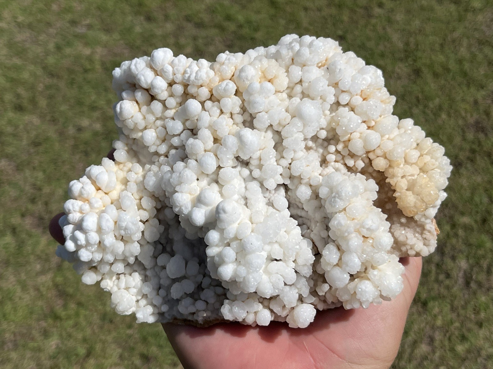 Natural Reef Calcite Cluster Crystal Mineral Specimen Display Piece 1.598kg