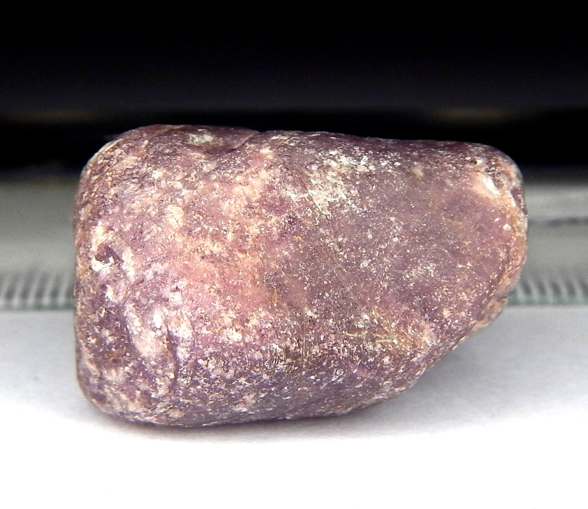 74.7ct Natural Mined Red Ruby Unheated Terminated Rough Column Collector Grade