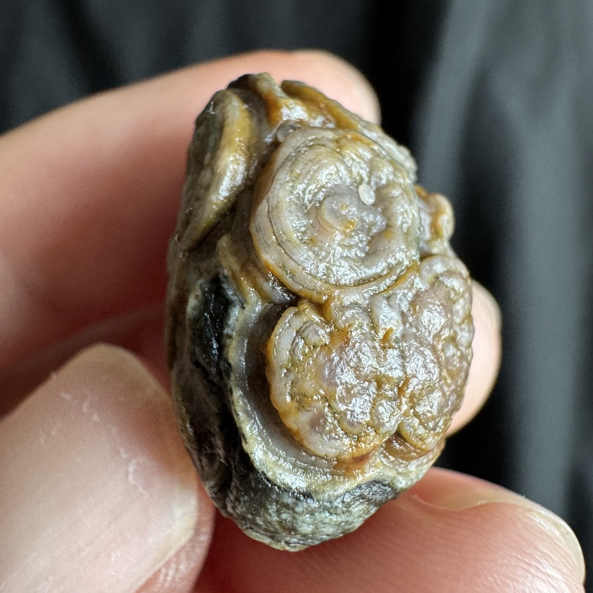 2.4cm/8.3g High Quality Alxa Gobi Desert High Raised-Relief Eye Agate-3212