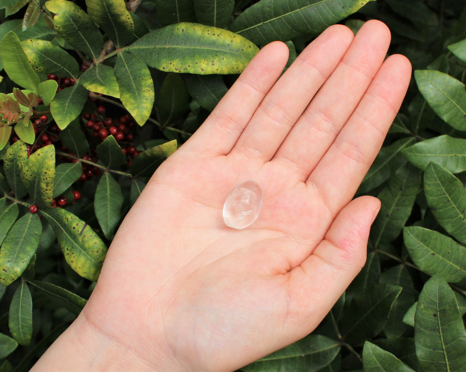 1/4 lb Bulk Lot Clear Quartz Tumbled Stone (Crystal Healing Metaphysical) 4 oz
