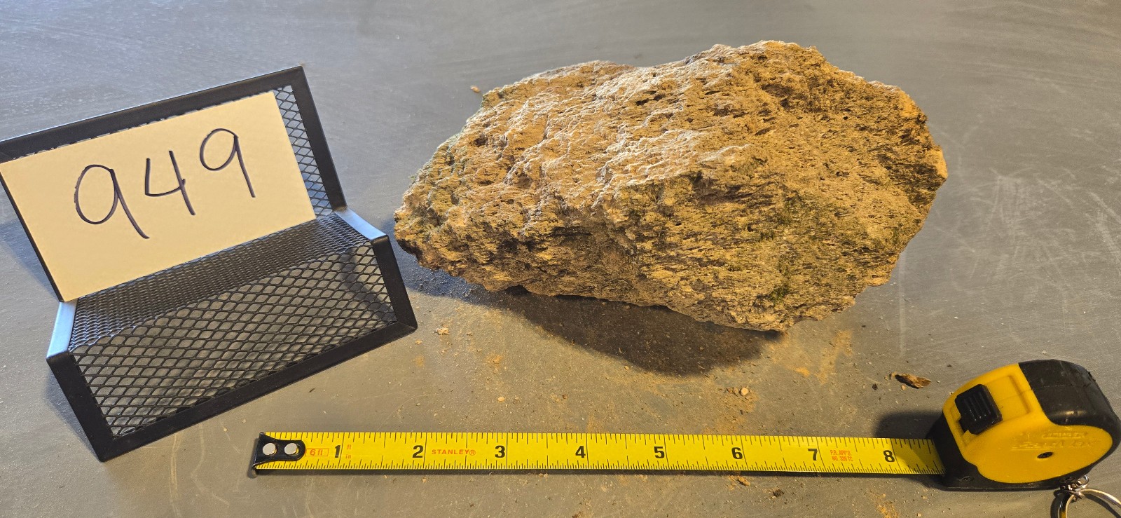 7″ Medium Pumice Stone Floating Natural Rock Carnivorous Succulent Garden #949