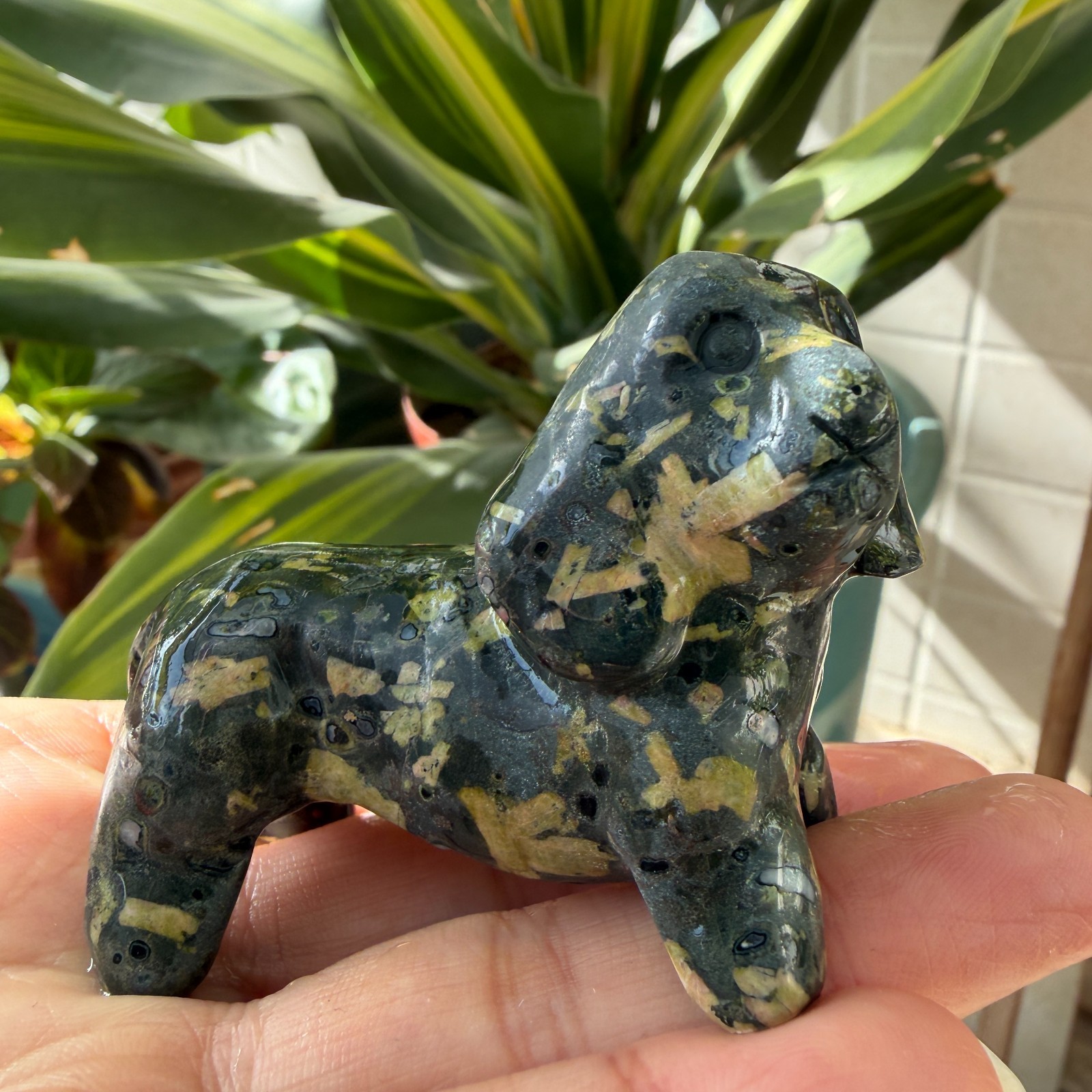 1pc Natural unknown quartz Carved dog Skull Crystal Reiki Decor