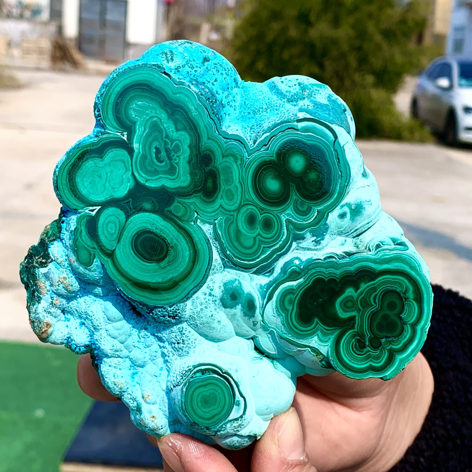 1.92LB Natural Chrysocolla/Malachite transparent cluster rough mineral sample