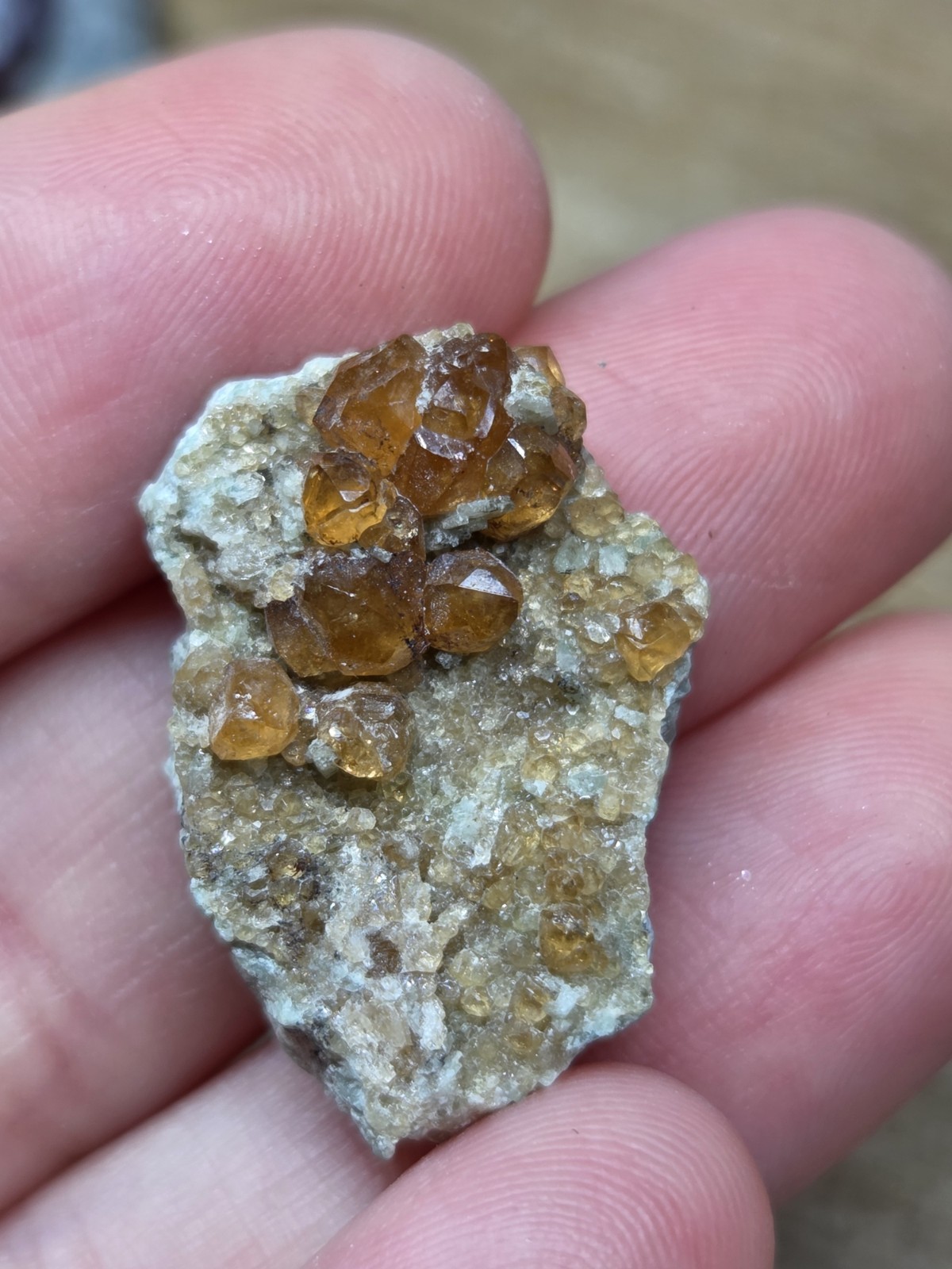 Set of 5 Natural Garnets – Rough Specimens