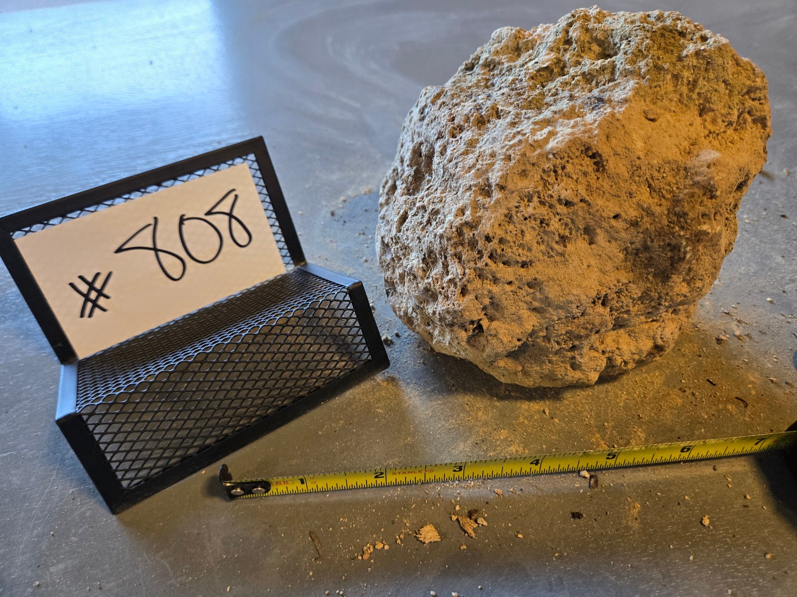 5″ Medium Pumice Stone Floating Natural Rock Carnivorous Succulent Garden #808