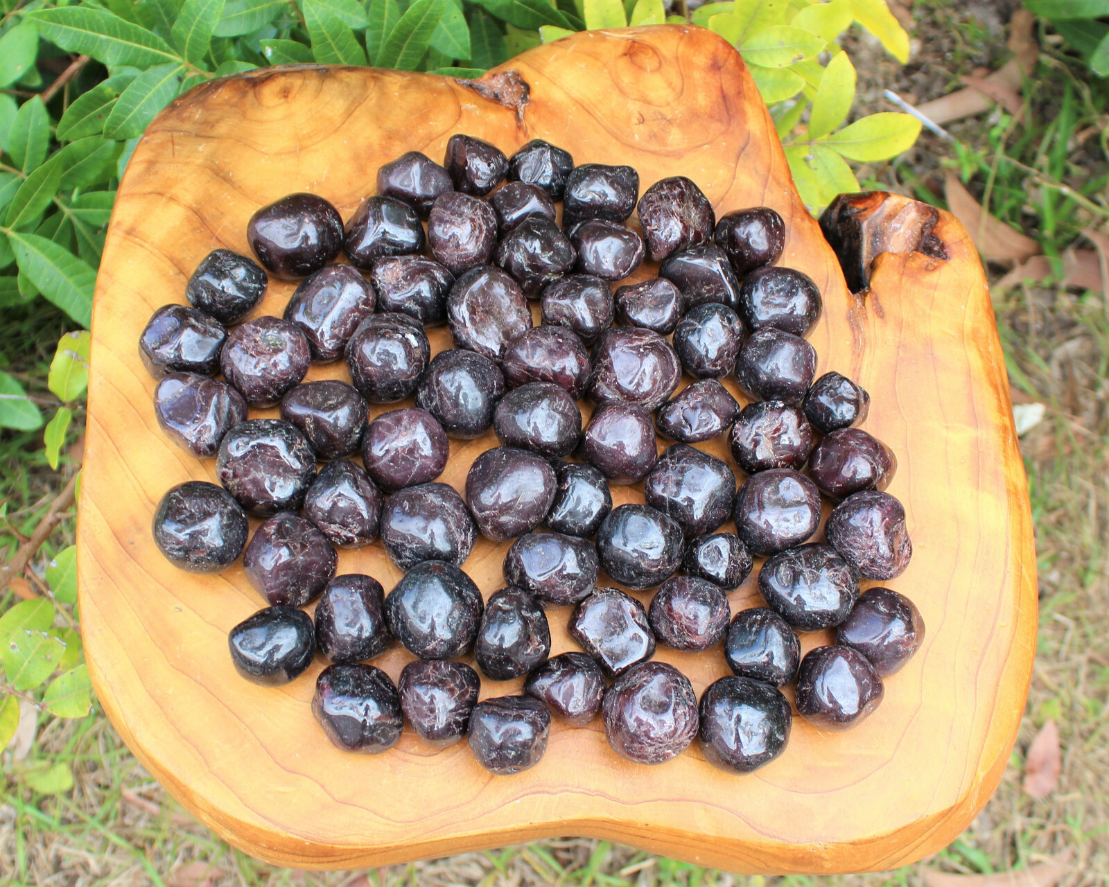 5 Garnet Tumbled Stones: Medium 0.75 – 1″ (Crystal Healing Reiki Chakra)
