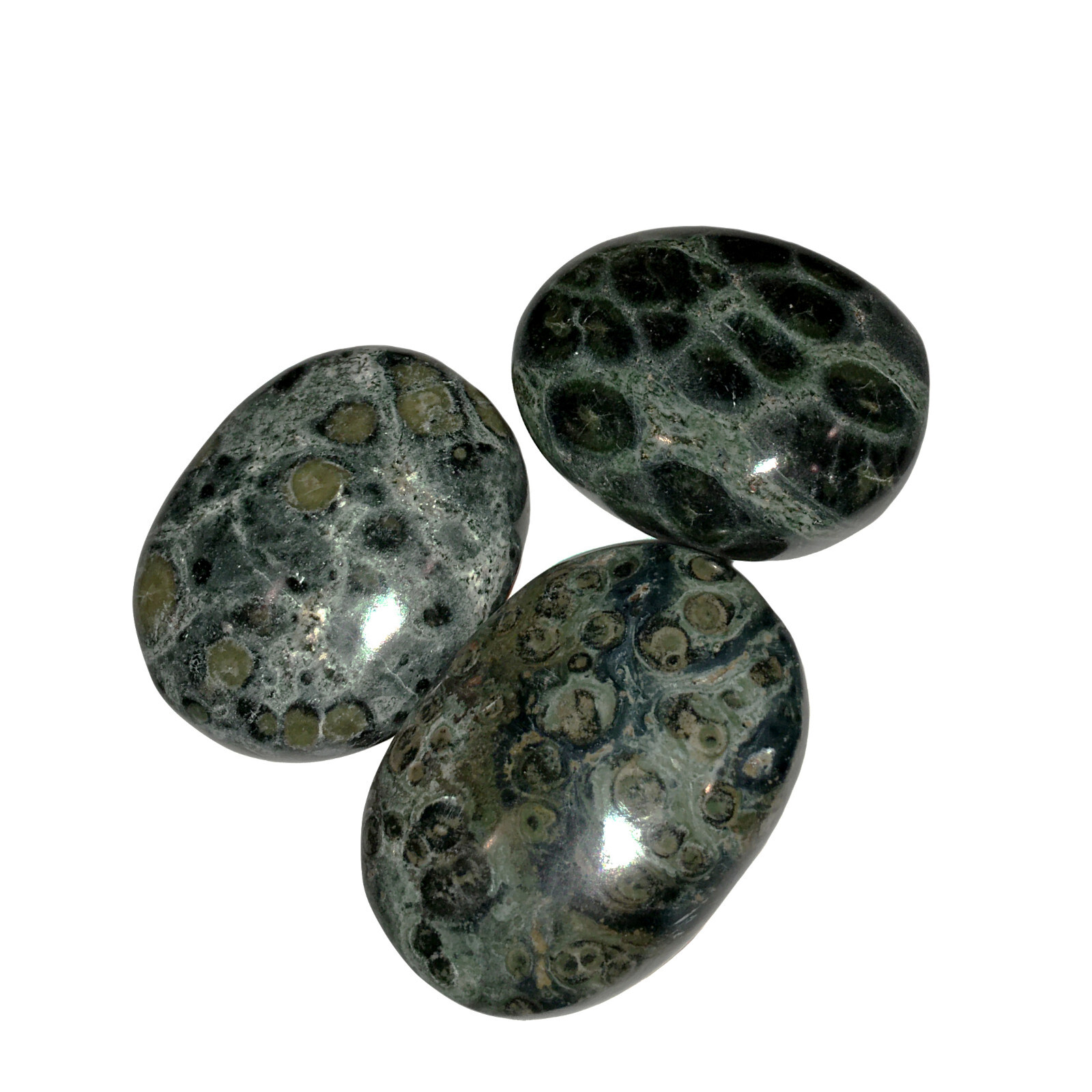 XL Kambaba Jasper Palm Stone Green Rock Crystal Healing Reiki Polished Worry Sto