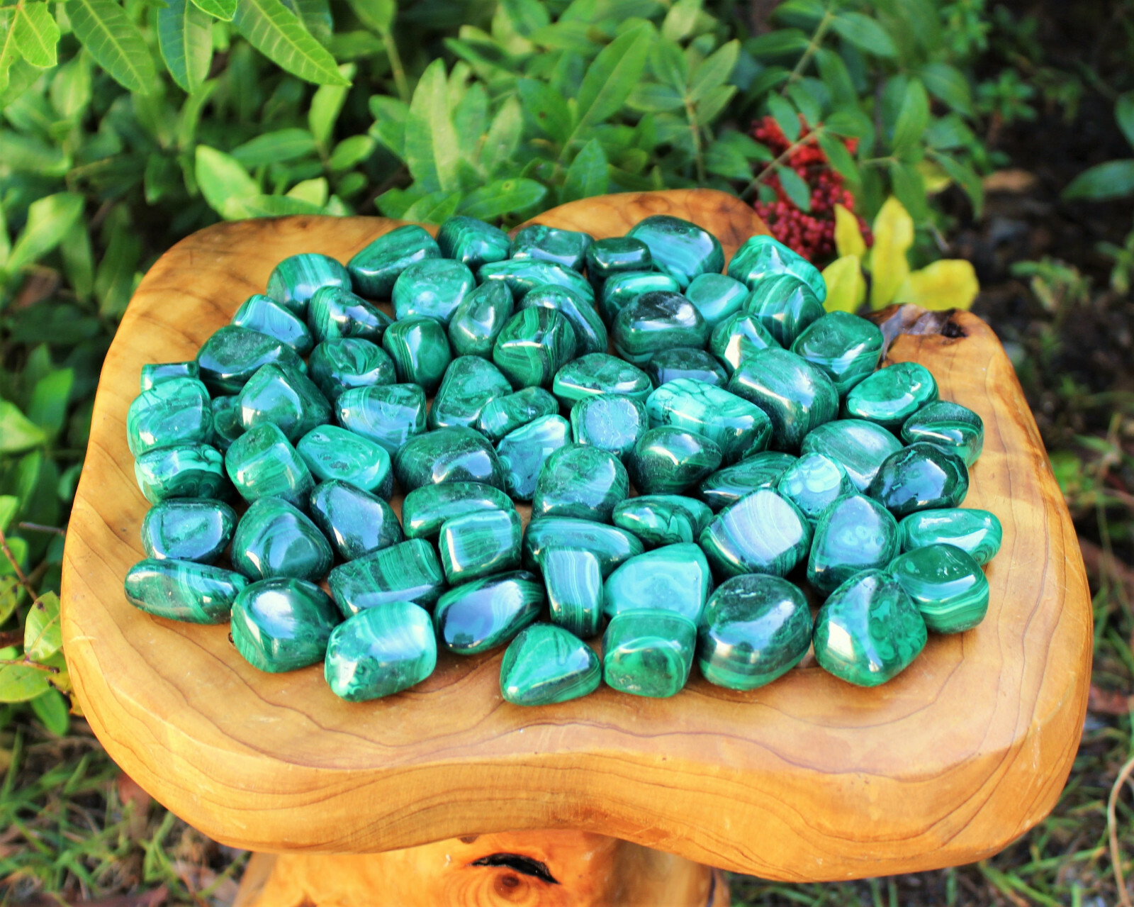 Bulk 1/4 lb Malachite Tumbled Stone Crystal Healing Gemstone (1/4 Pound, 4 oz)