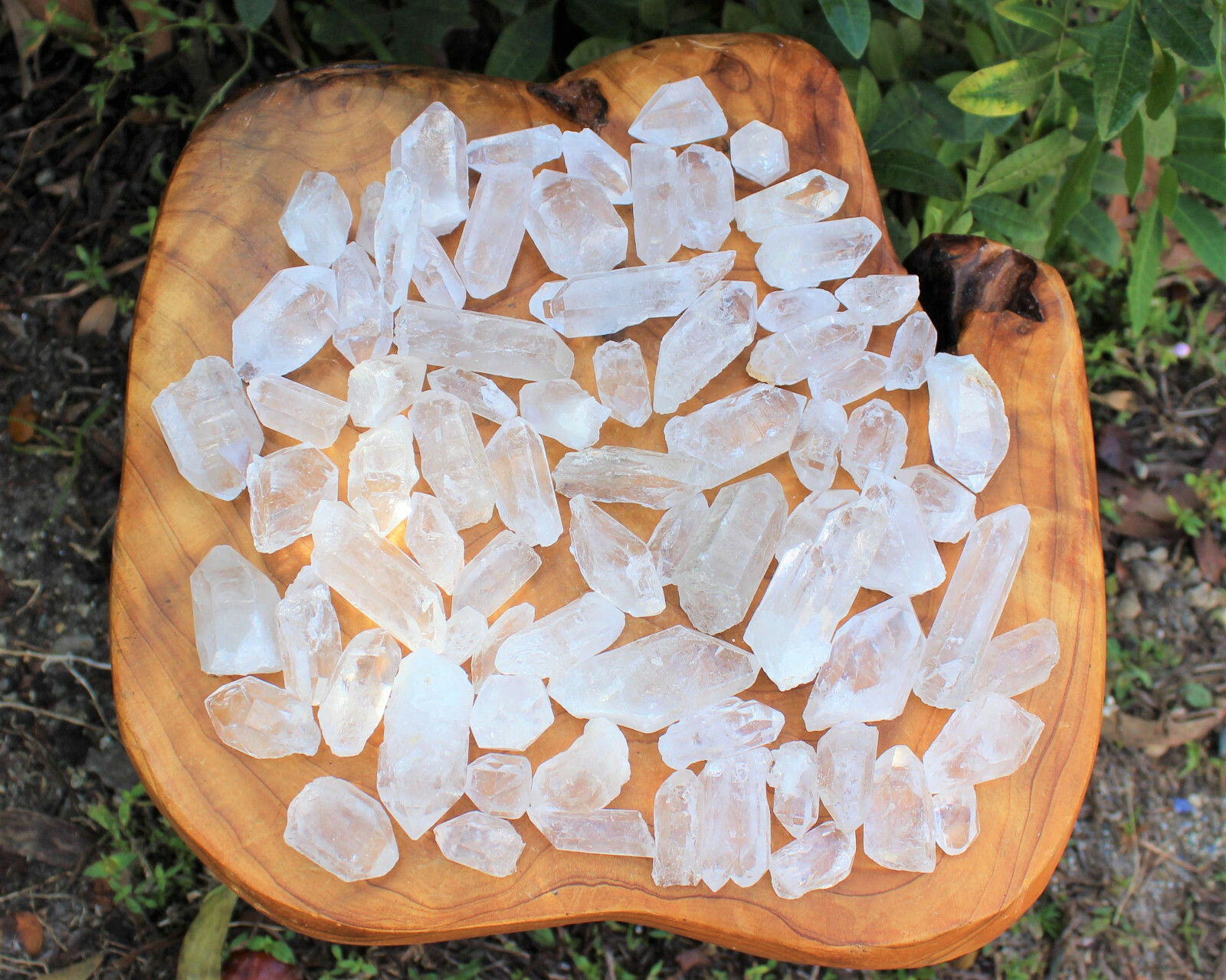 1000 Carat Lot Natural Clear Quartz Points (18 – 26 Crystals) Reiki Healing Wand