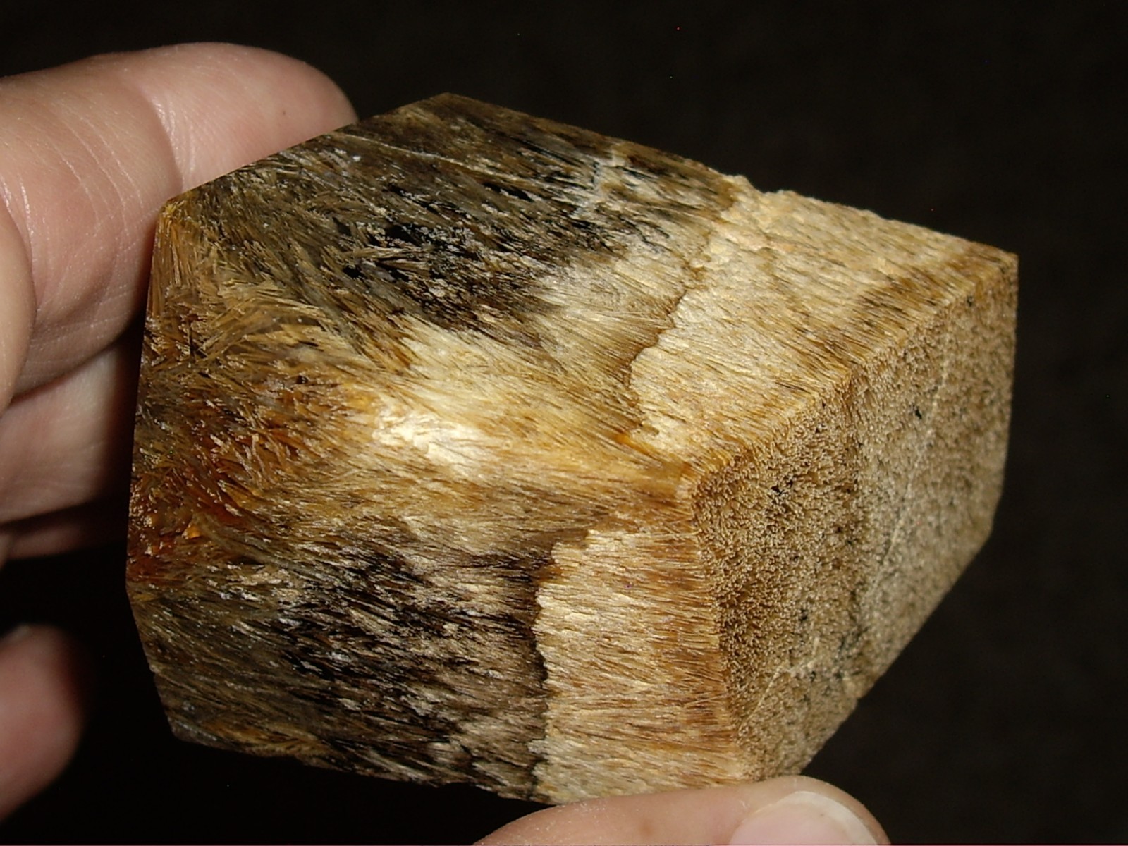 Fantastic Sagenite Agate Polished Freeform w/ Unknown Fibrous Inclusions 144.6g