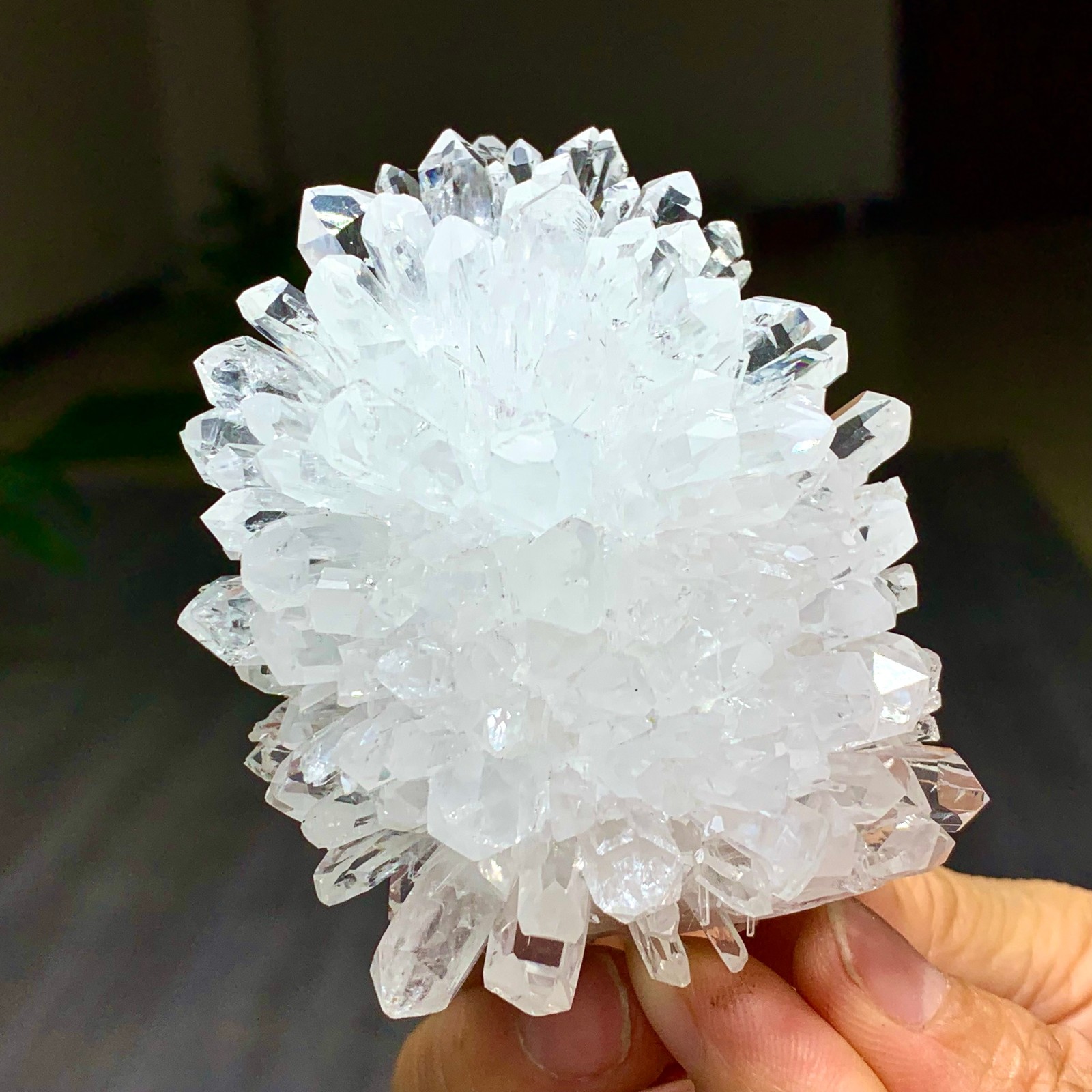 227G Natural Transparent Chrysanthemum crystal Cluster Specimen
