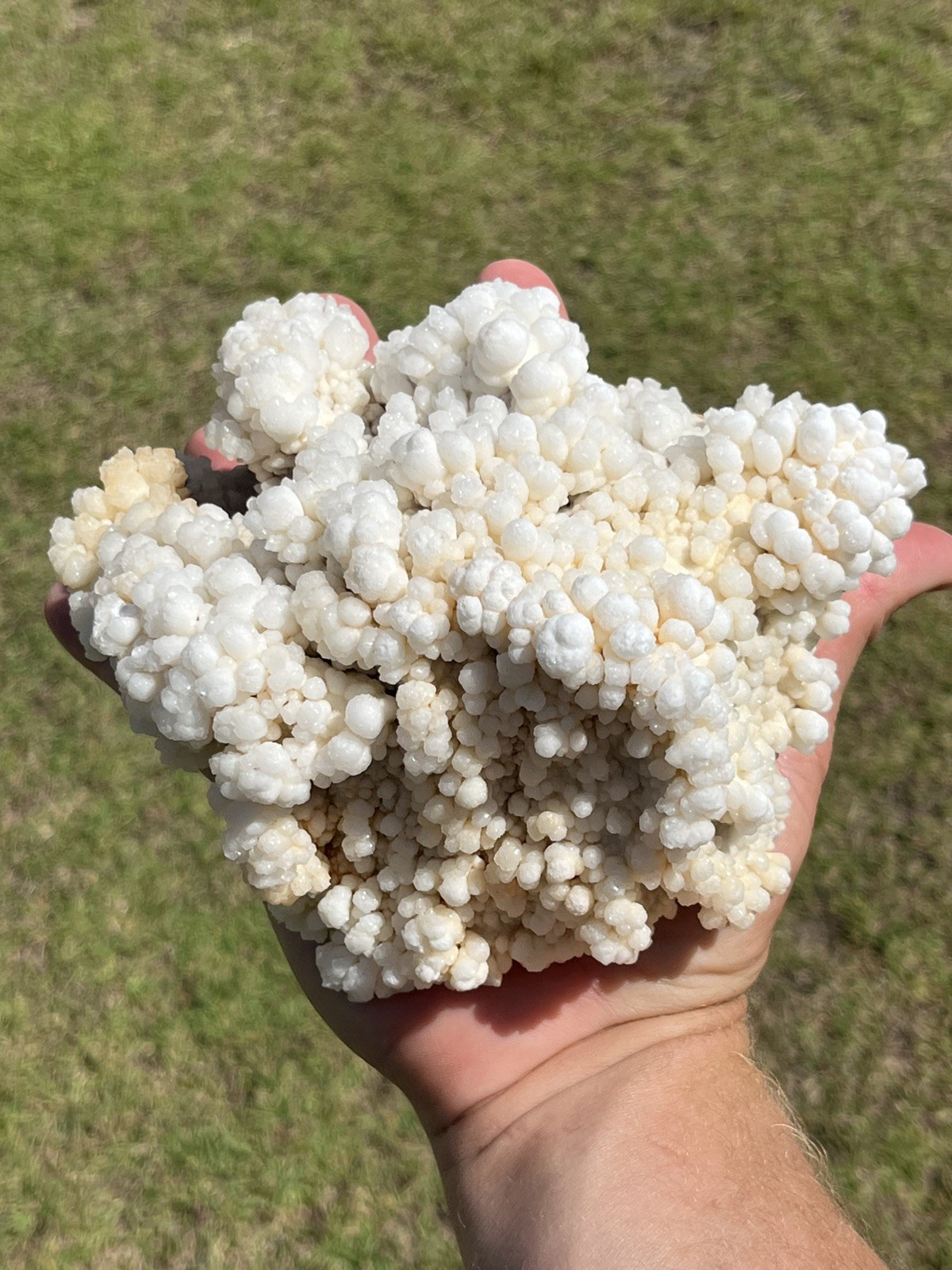 Natural Reef Calcite Cluster Crystal Mineral Specimen Display Piece 1.598kg