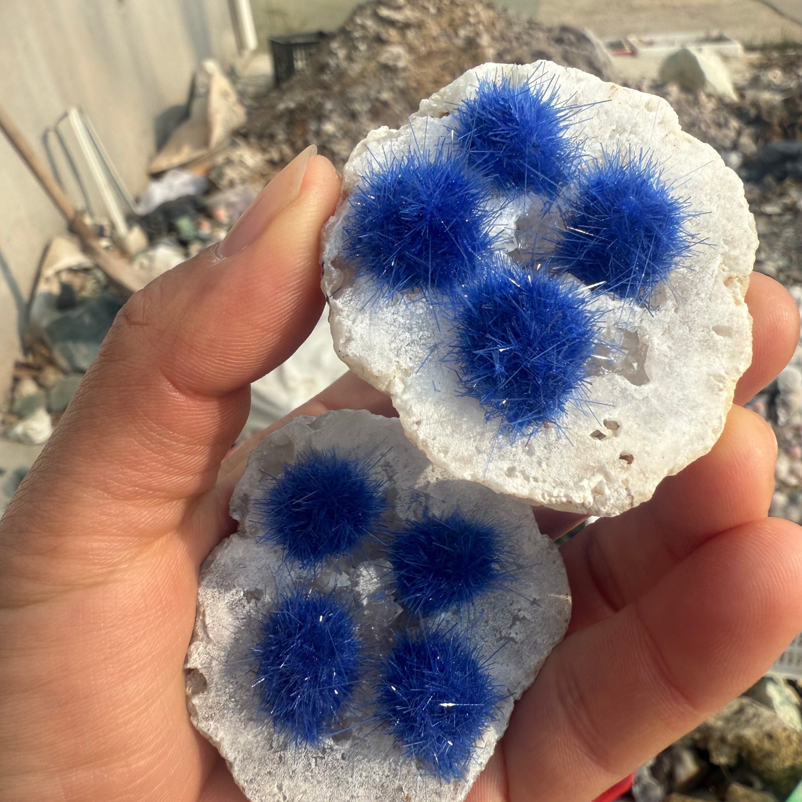 Raw Rough Dandelion Zeolite Cluster Blue Cave Quartz Crystal Decoration 10pc