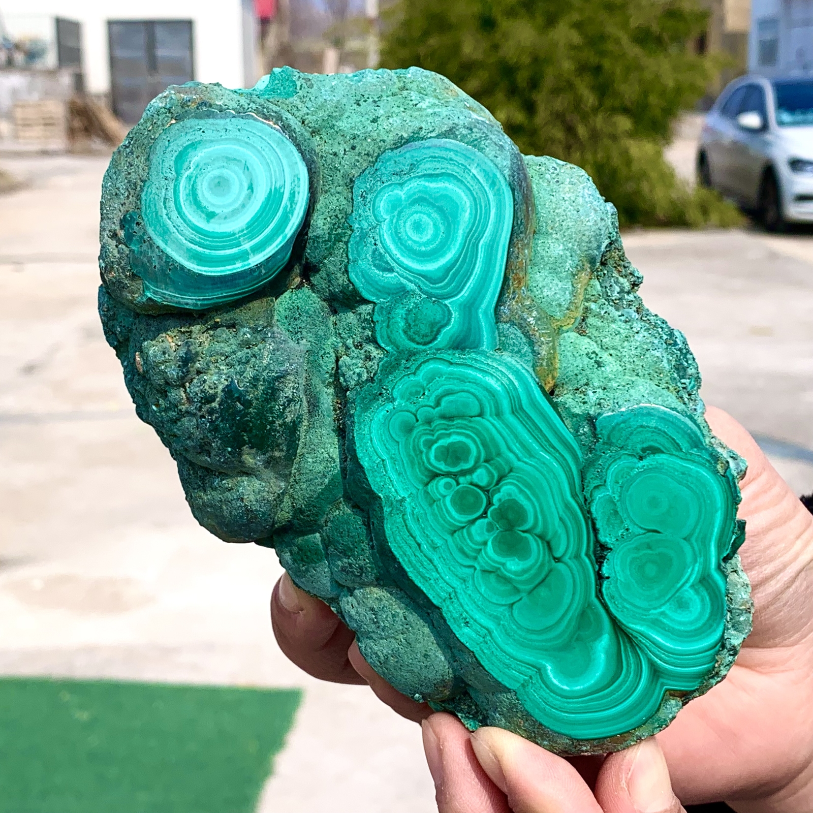 1.92LB Natural glossy Malachite transparent cluster rough mineral sample