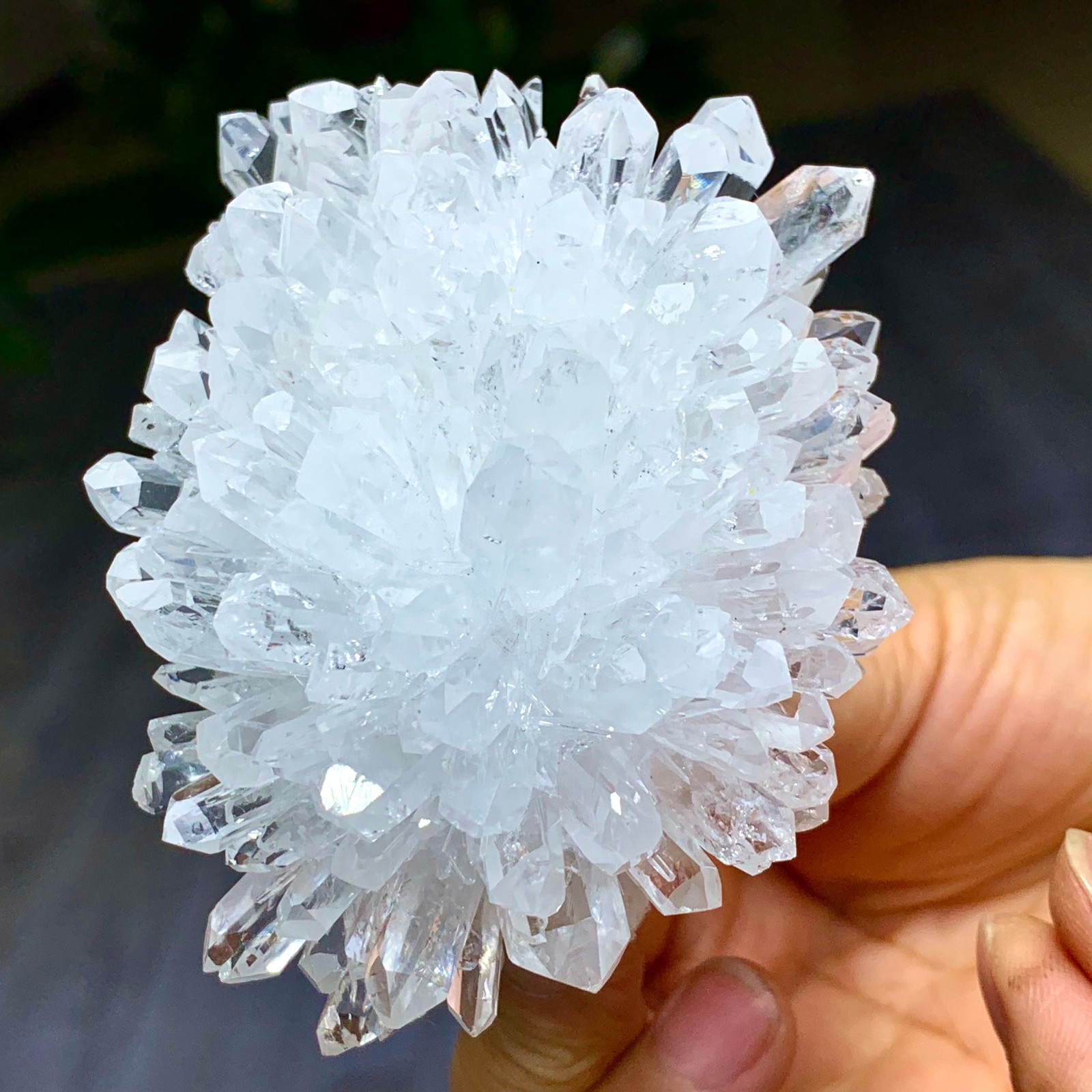 227G Natural Transparent Chrysanthemum crystal Cluster Specimen