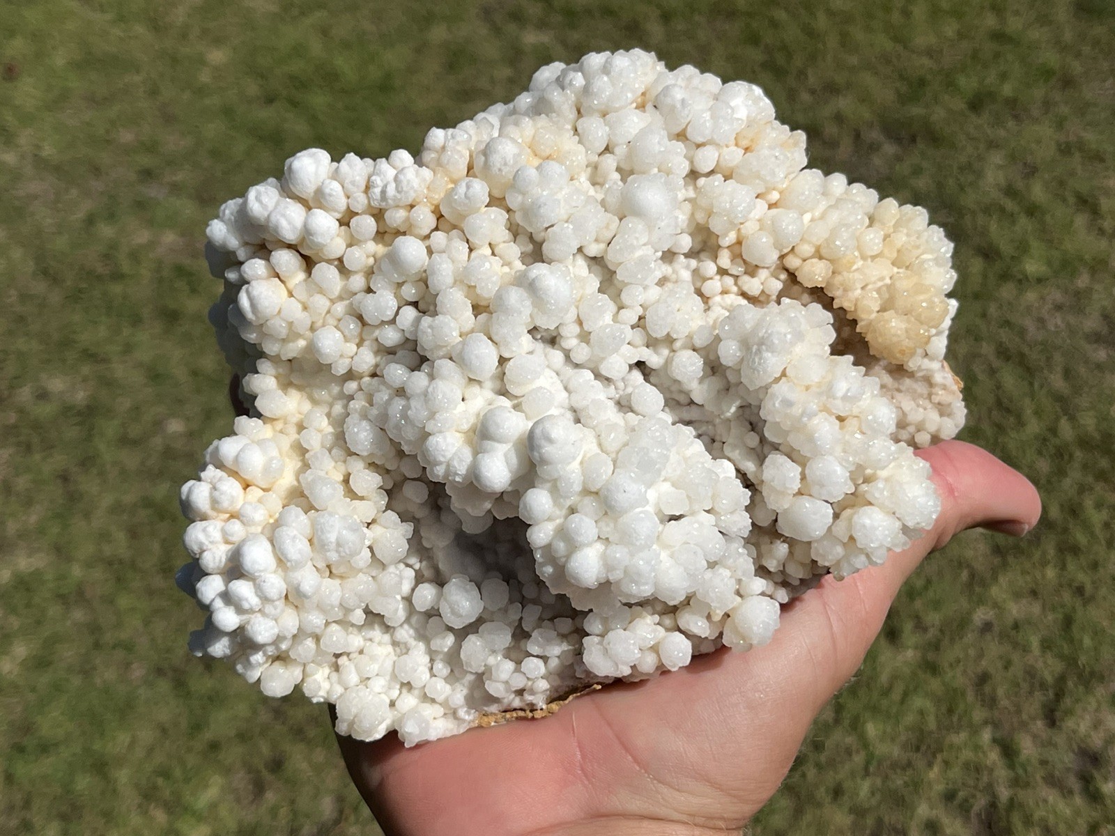 Natural Reef Calcite Cluster Crystal Mineral Specimen Display Piece 1.598kg