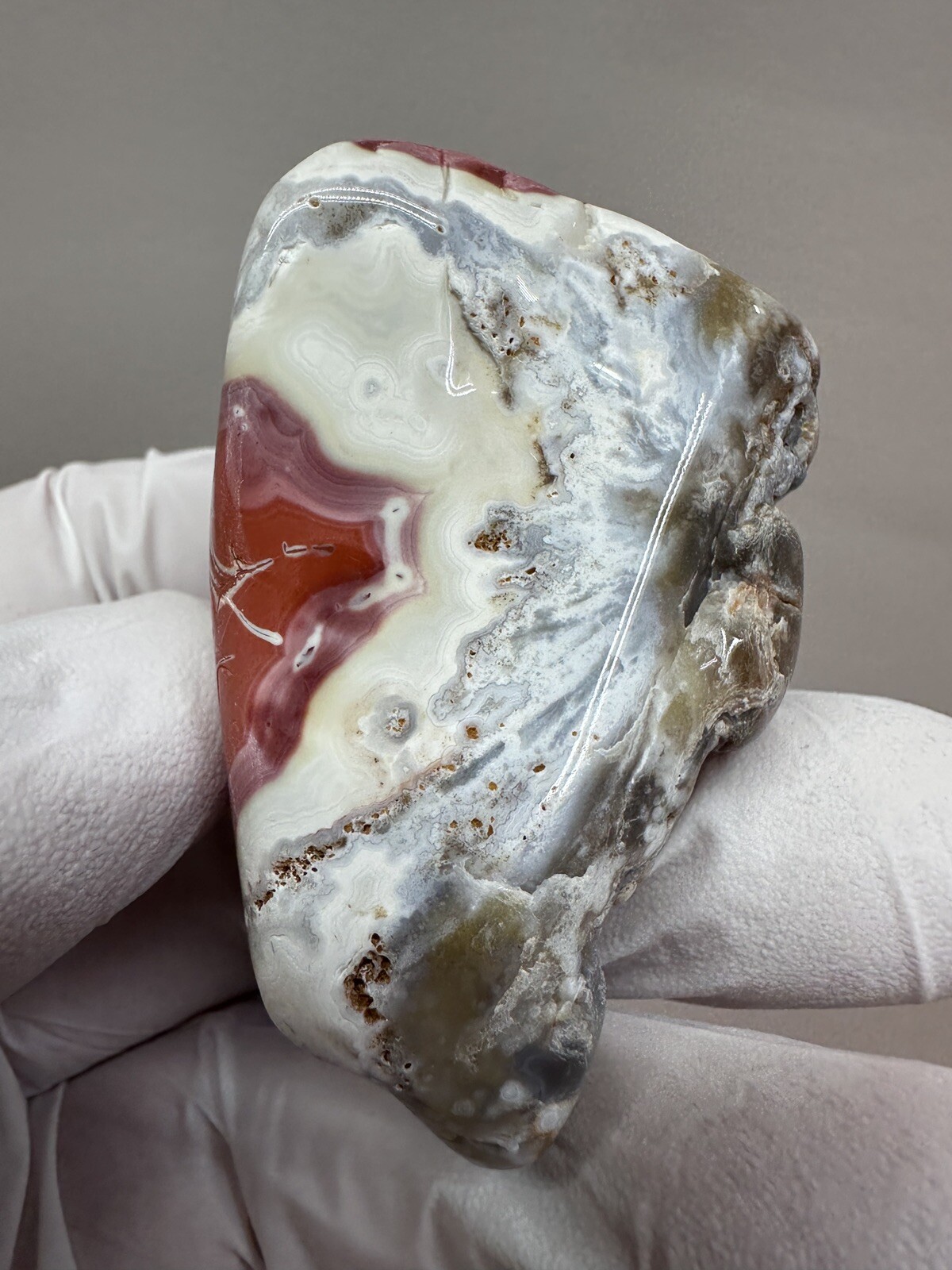 RARE Tumbled Kentucky Agate Palm Stone from Estill County, Kentucky