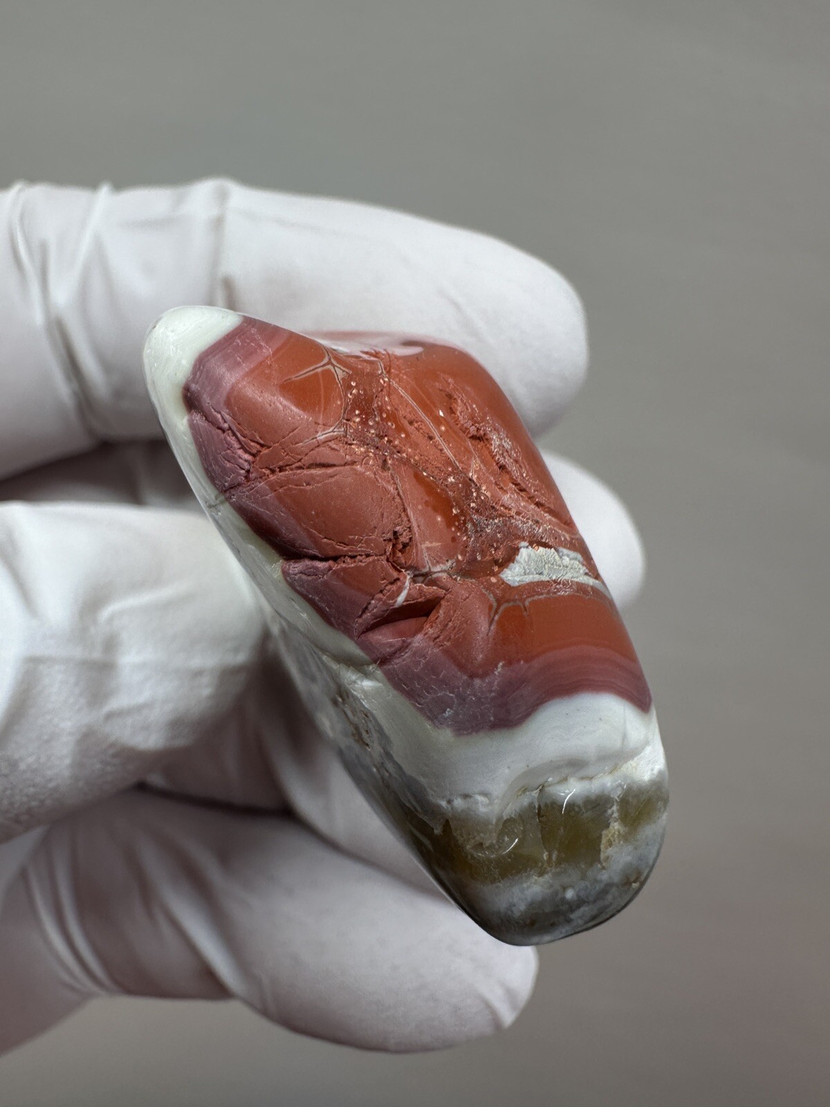 RARE Tumbled Kentucky Agate Palm Stone from Estill County, Kentucky