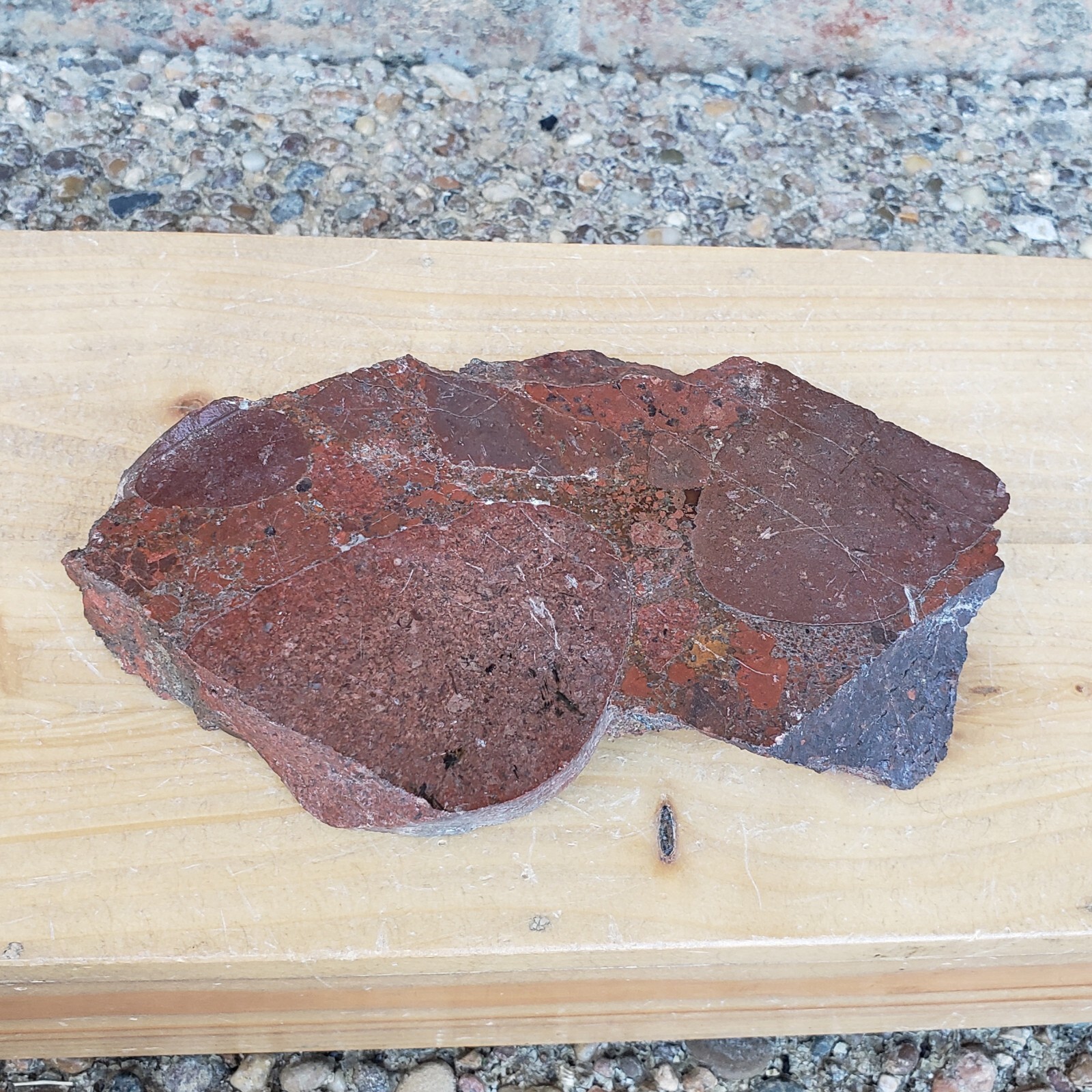 Unknown Red Variegated Rock Slab Mineral, 1 lb. 5 oz, Estate Specimen