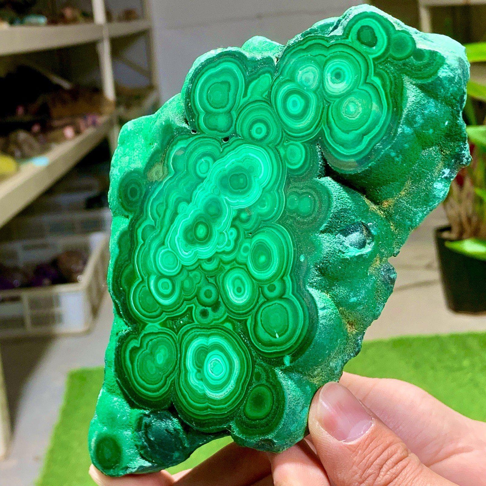 1.92LB Natural glossy Malachite transparent cluster rough mineral sample healing