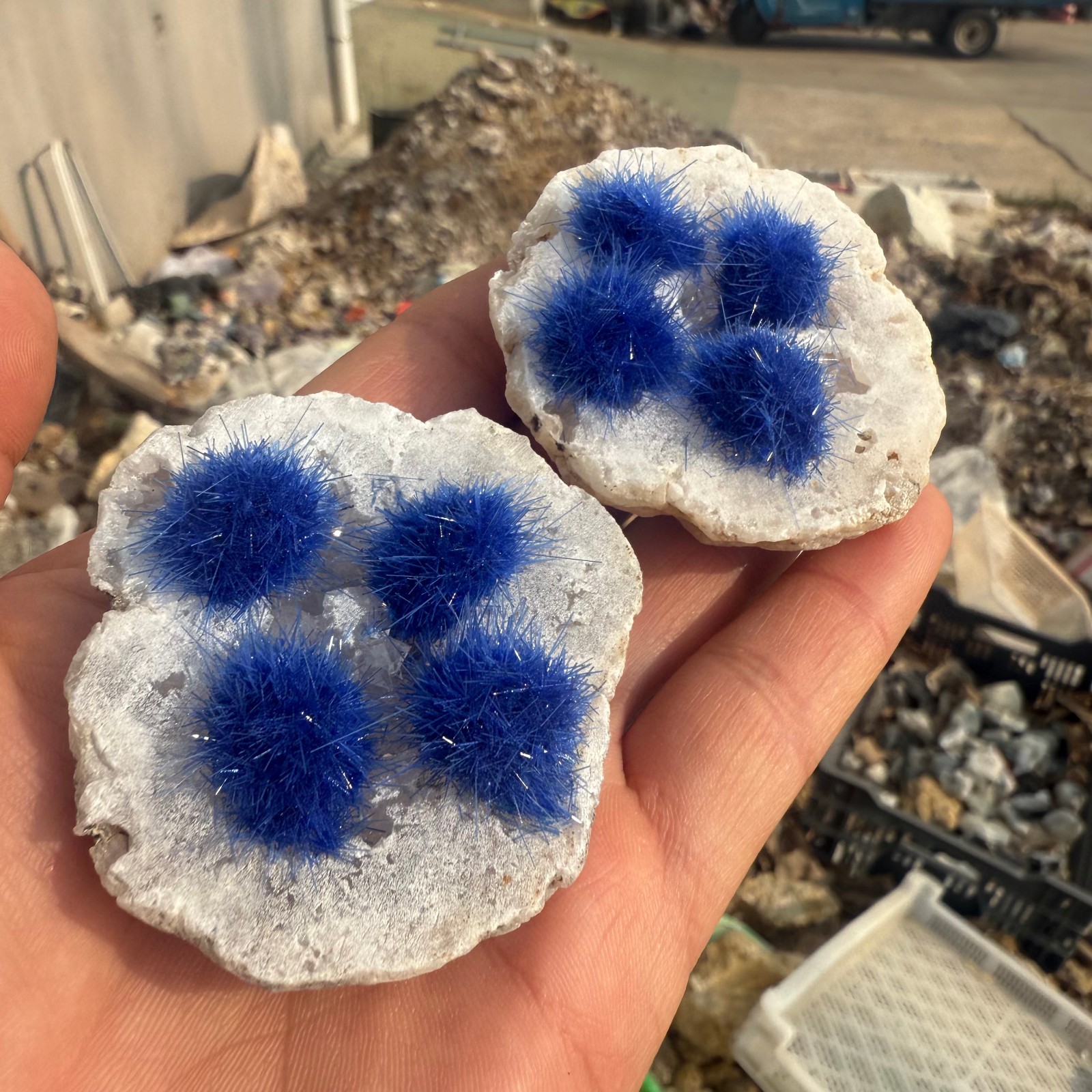 Raw Rough Dandelion Zeolite Cluster Blue Cave Quartz Crystal Decoration 10pc
