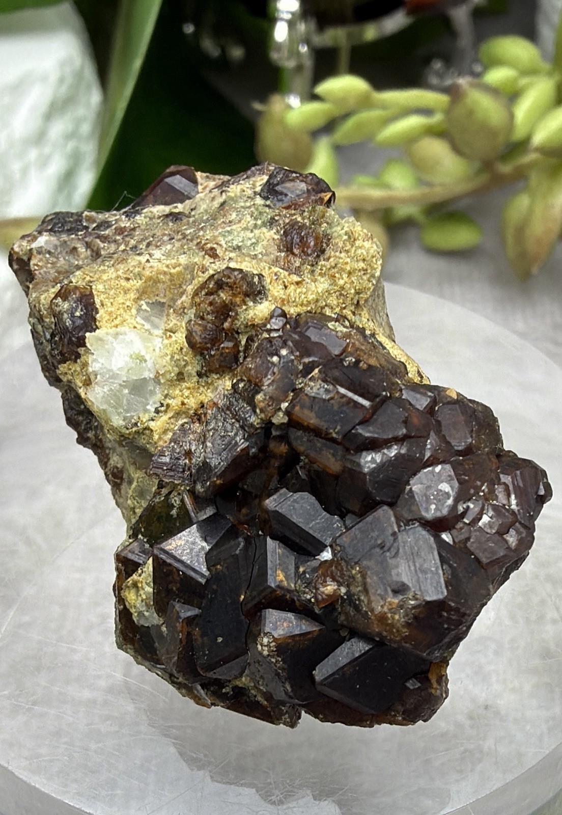 Crystal 27g Deep Red Garnet On Matrix Specimen Mineral Raw