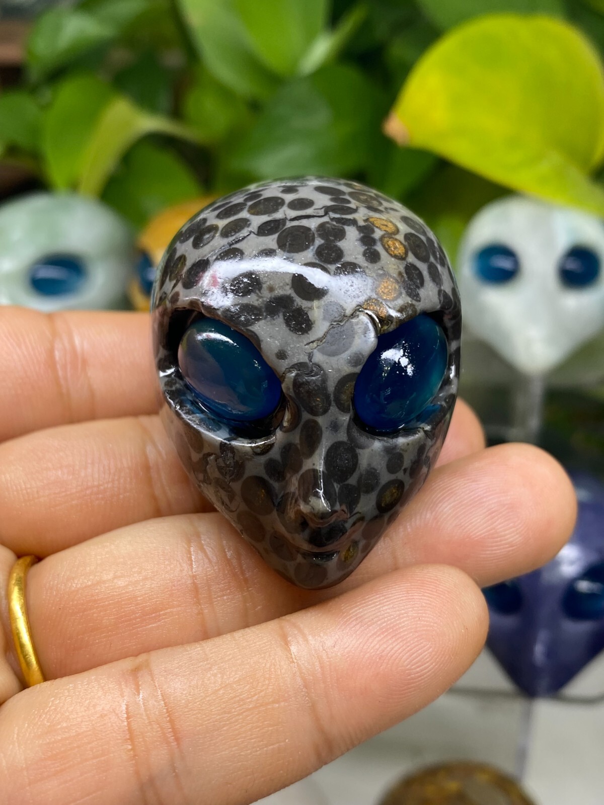 1pc Natural Unknown Quartz Carved Alien Skull Crystal Reiki Healing Gem Gift