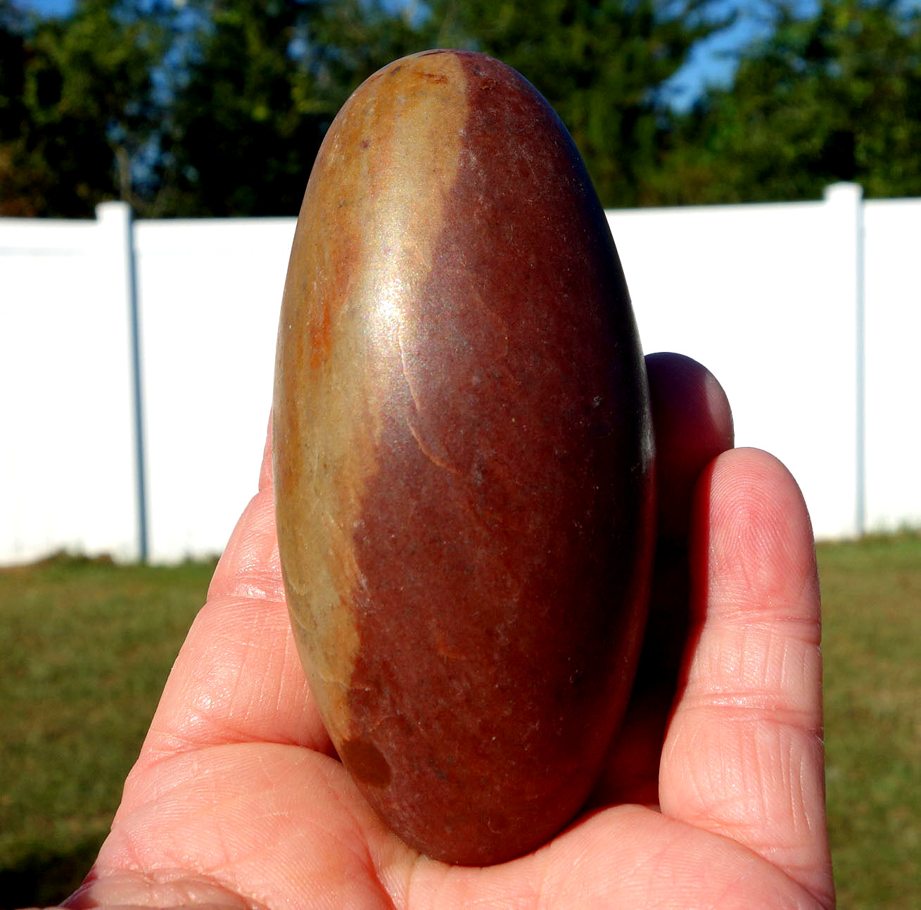 Shiva Lingham Excellent Meditation Lingam Stone Manifesting Crystal Egg Siva #16