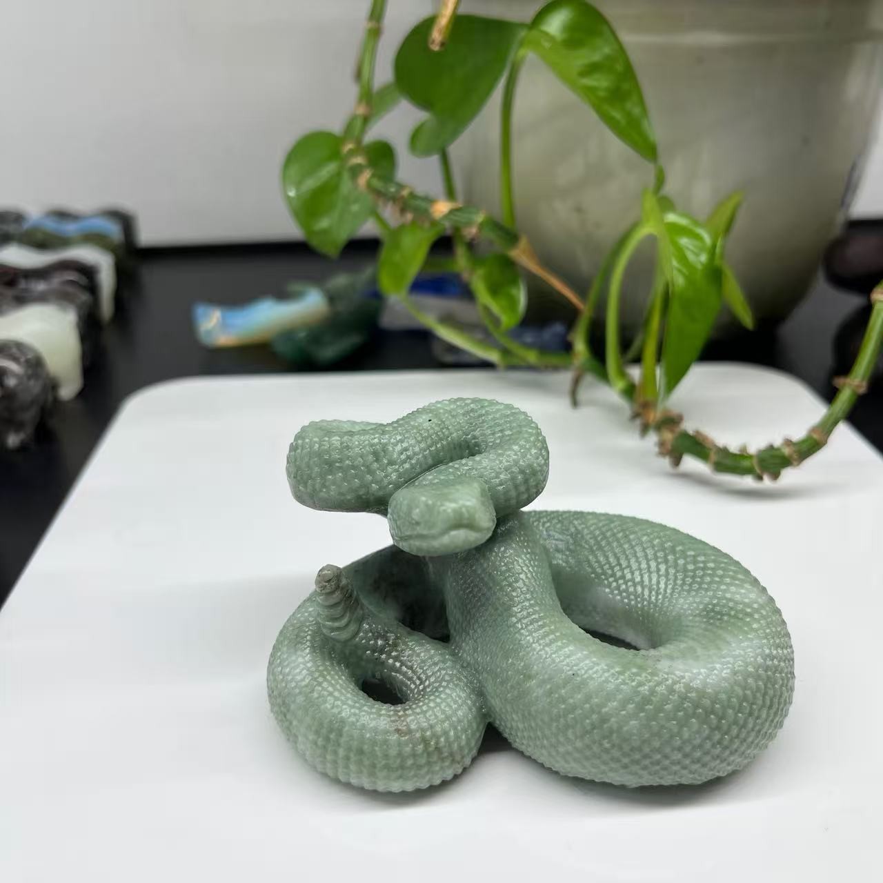 1pc Natural Jade Quartz Hand Carved Snake Skull Crystal Reiki Decor Gift