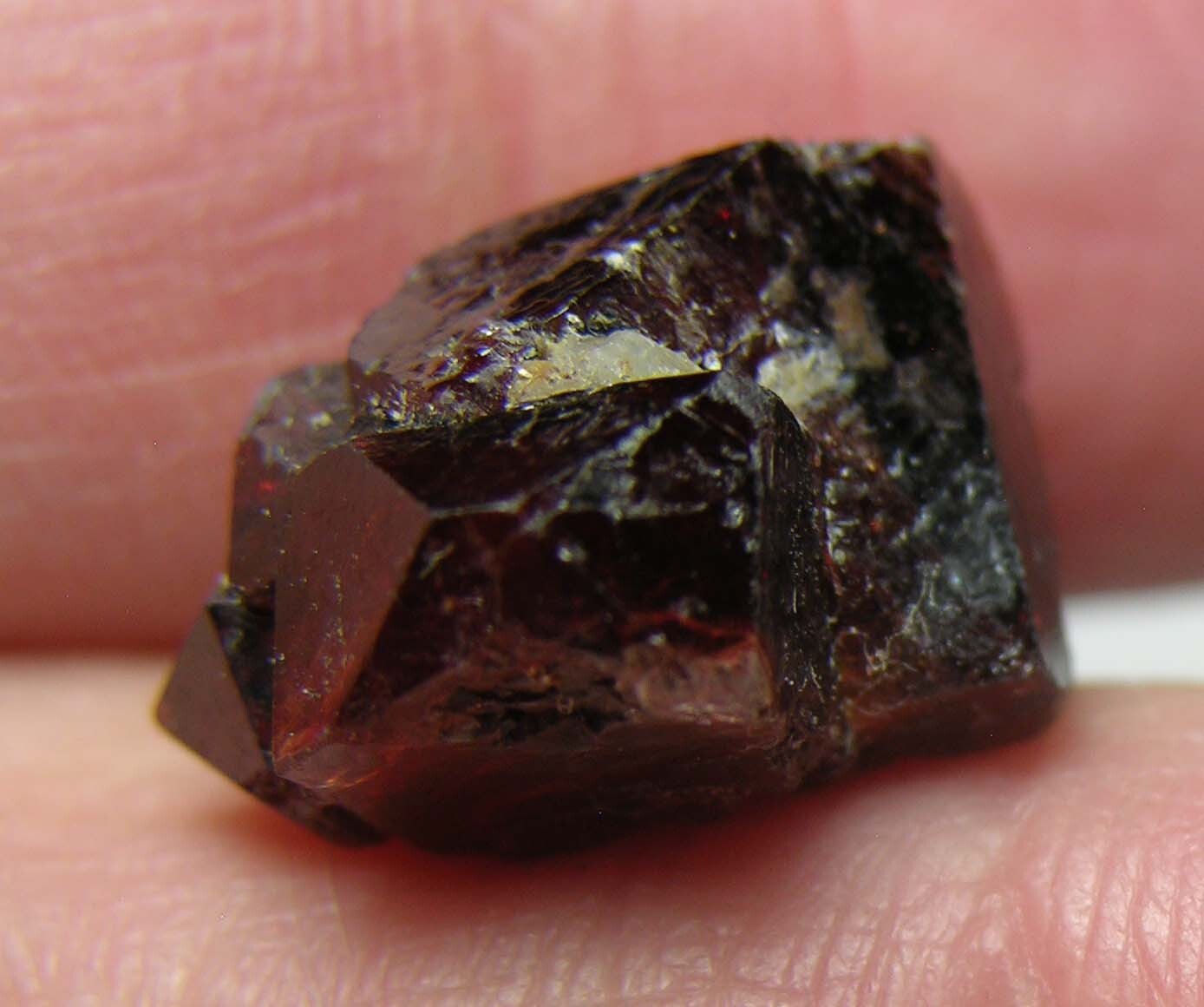 #17 Afghanistan 23.50ct Natural Octagonal Brownish Red Zircon Specimen 4.7g 17mm