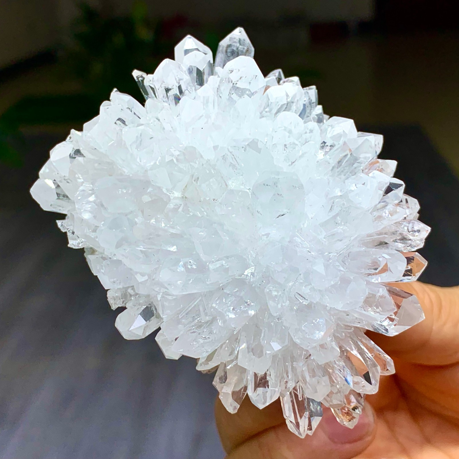 227G Natural Transparent Chrysanthemum crystal Cluster Specimen