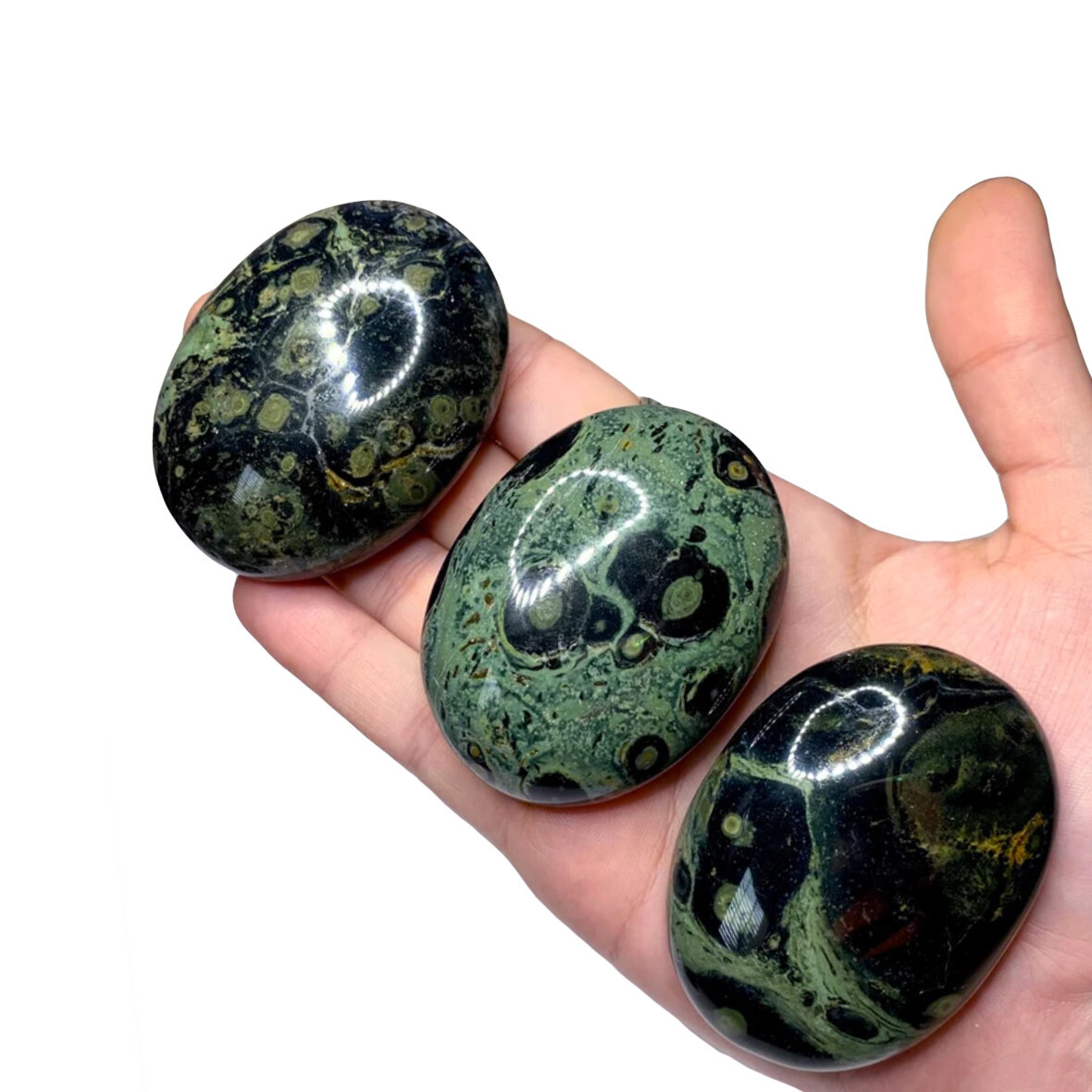 XL Kambaba Jasper Palm Stone Green Rock Crystal Healing Reiki Polished Worry Sto