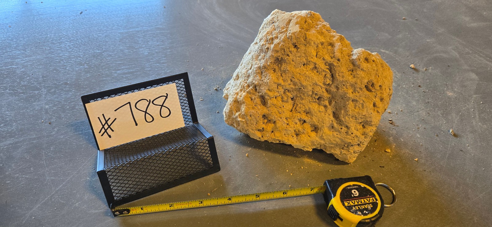 6.5″ Medium Pumice Stone Floating Natural Rock Carnivorous Succulent Garden #788