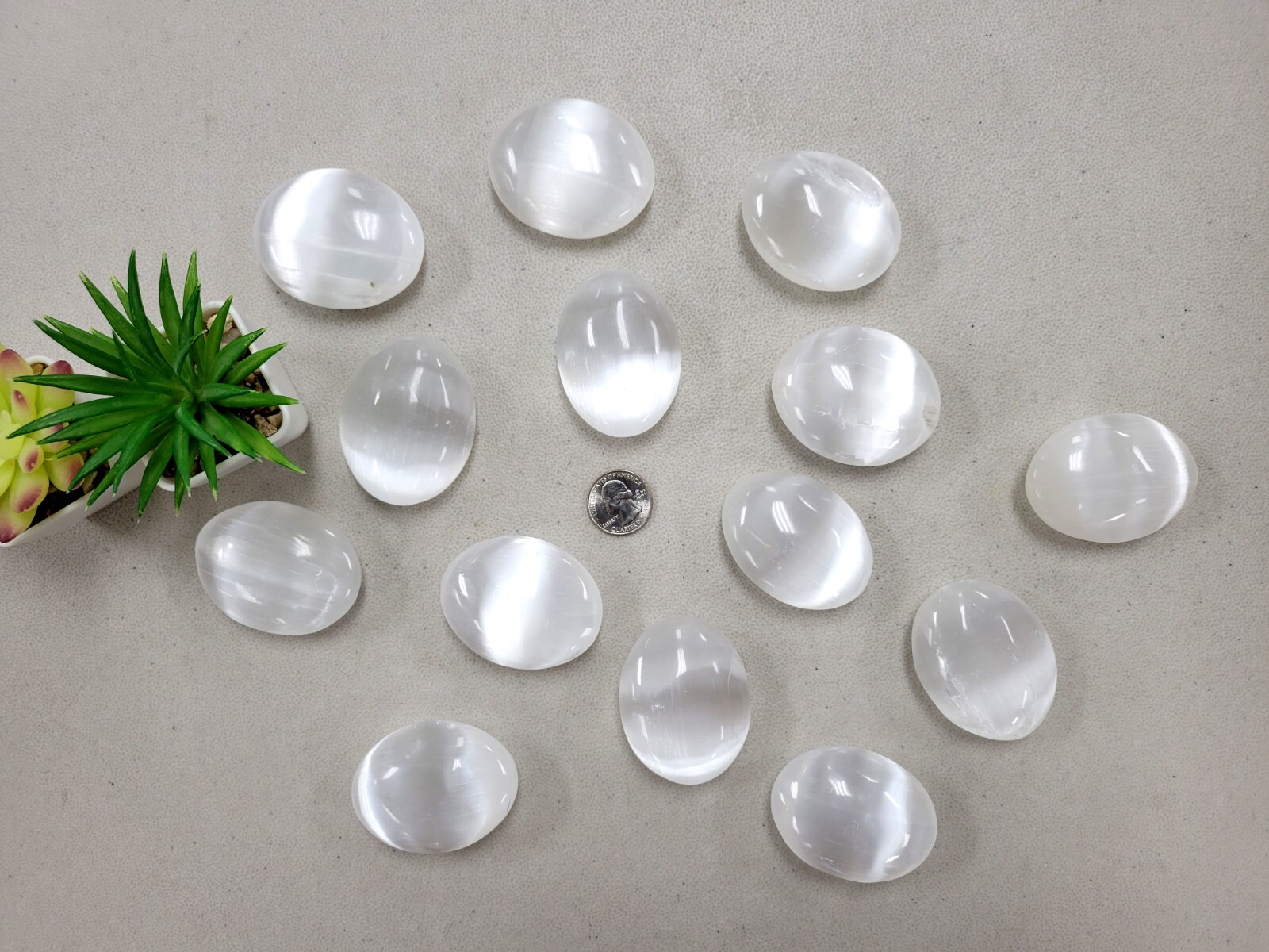 Selenite Palm Stones Celenite Worry Stone Polished Crystal Gems