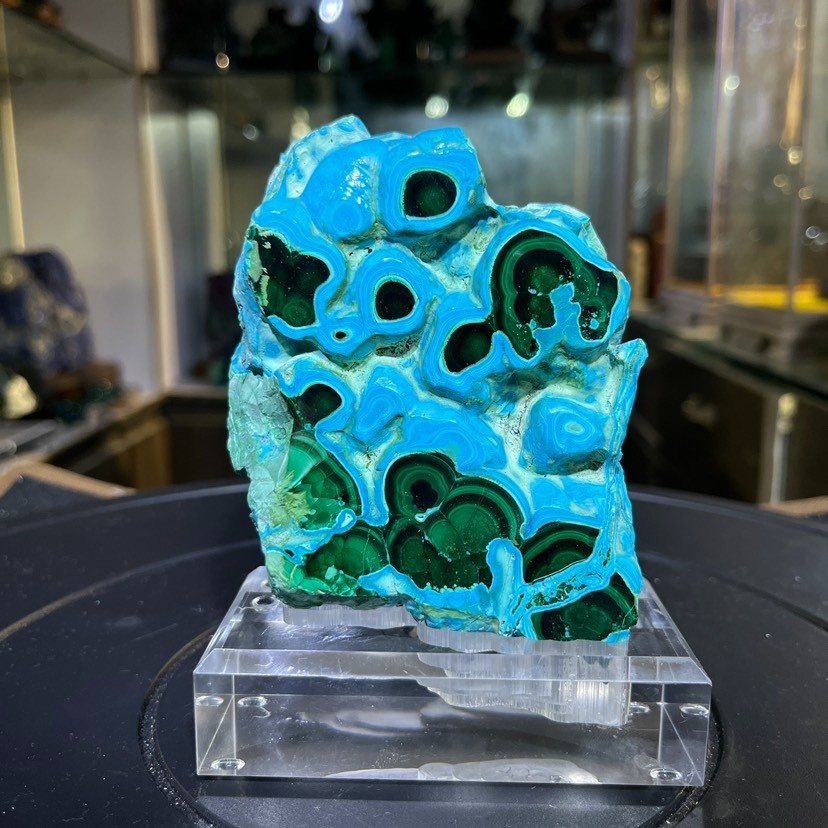 1.45LB Natural silicon malachite quartz crystal Mineral specimen +stand
