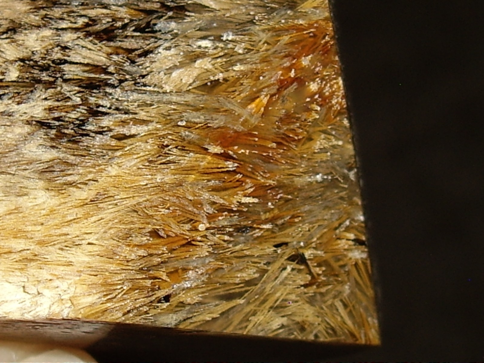 Fantastic Sagenite Agate Polished Freeform w/ Unknown Fibrous Inclusions 144.6g