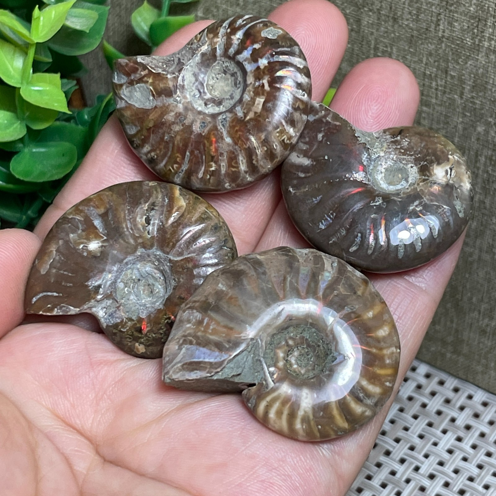4pcs Rainbow Iridescent polishing Stone sculptor decoration specimens 69g CL10