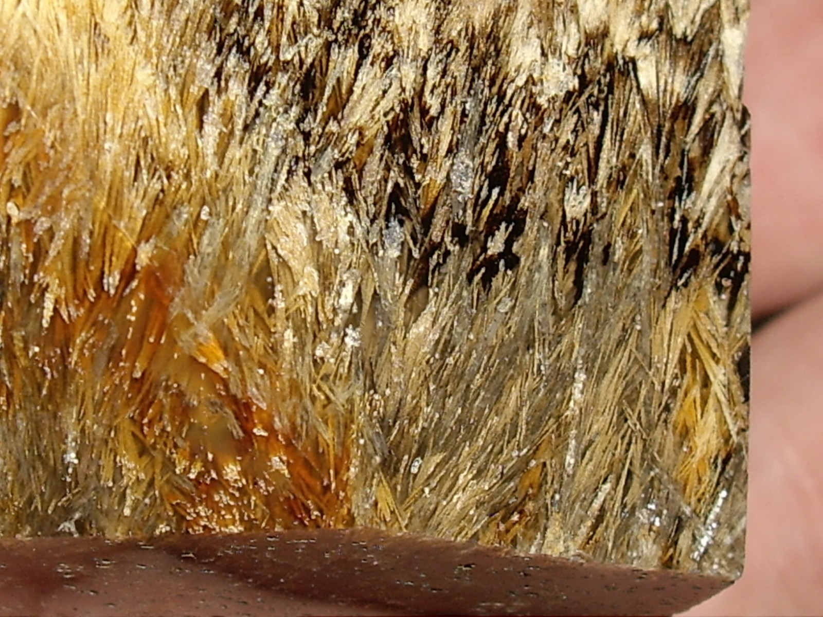 Fantastic Sagenite Agate Polished Freeform w/ Unknown Fibrous Inclusions 144.6g
